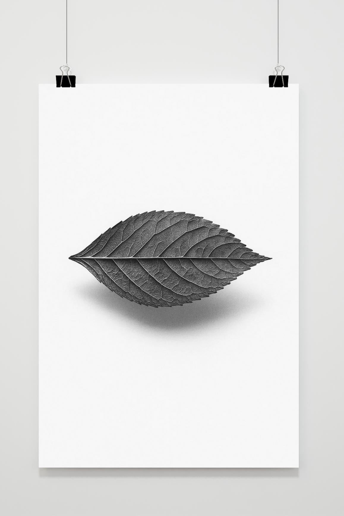 Leaf Minimalist B&amp;W in an interior