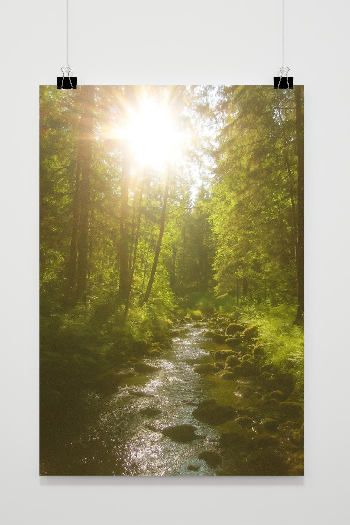 Forest Sunny im Interieur