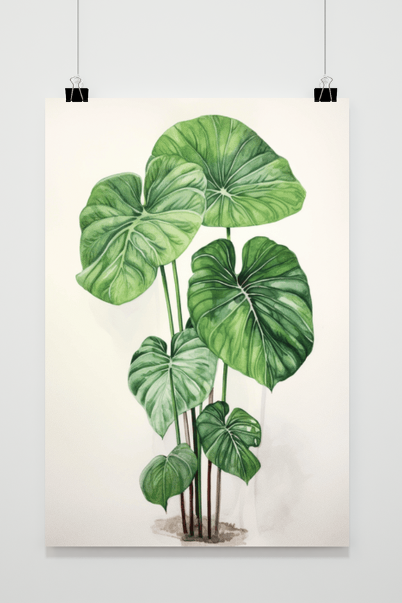 Póster Monstera Kamerplant de 25 Artstreet
