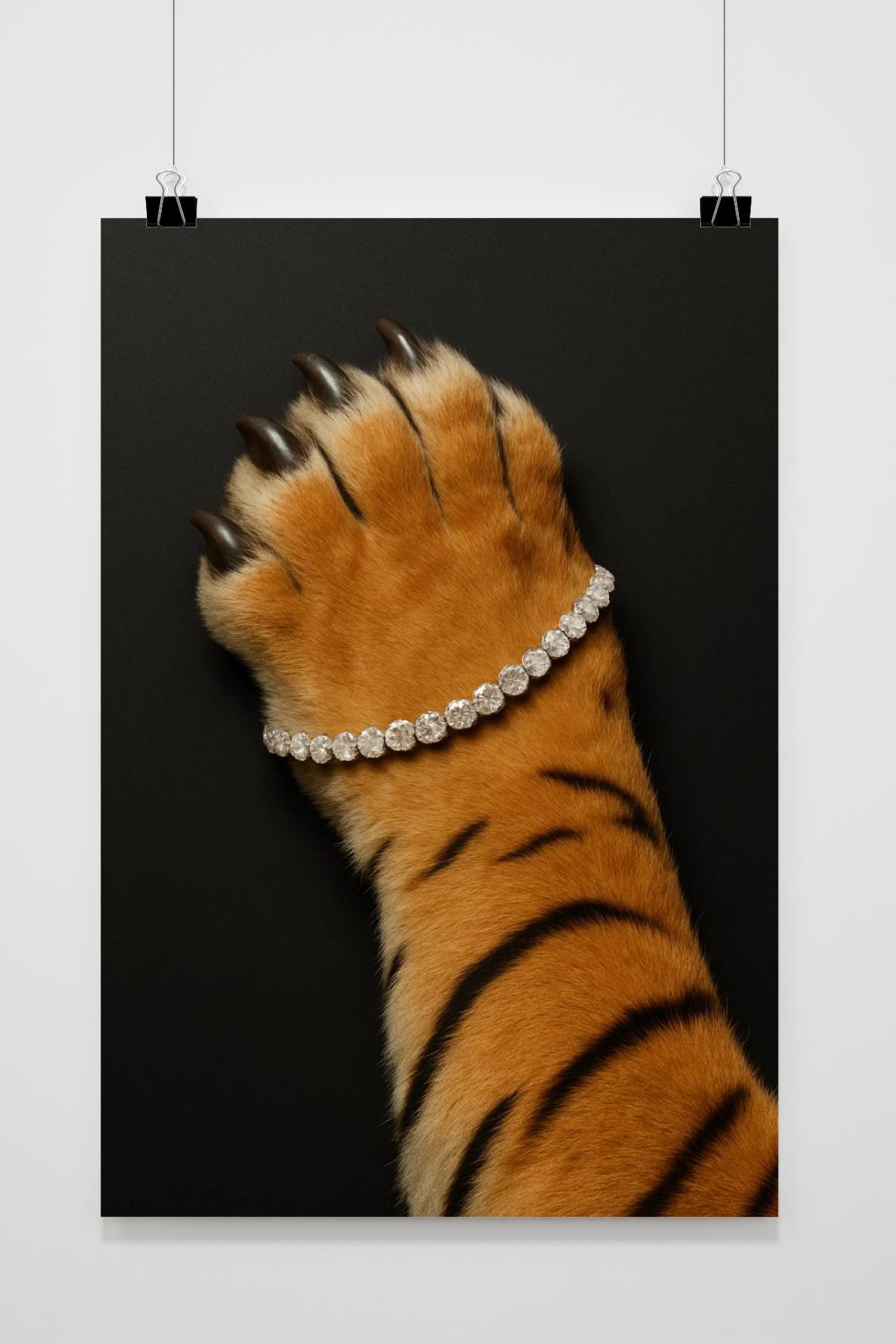 Póster Tiger Jewelry Diamonds de 25 Artstreet
