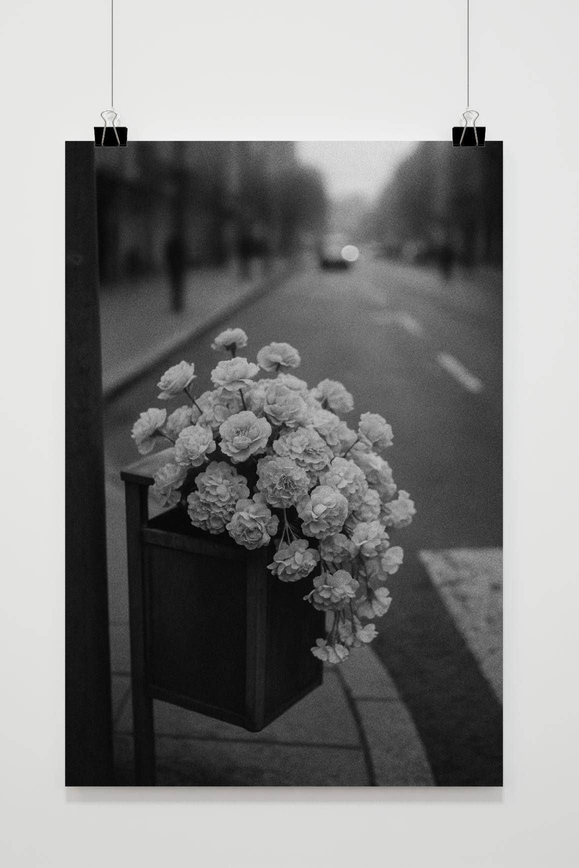 Affiche Flowers Street Zwart-Wit de 25 Artstreet
