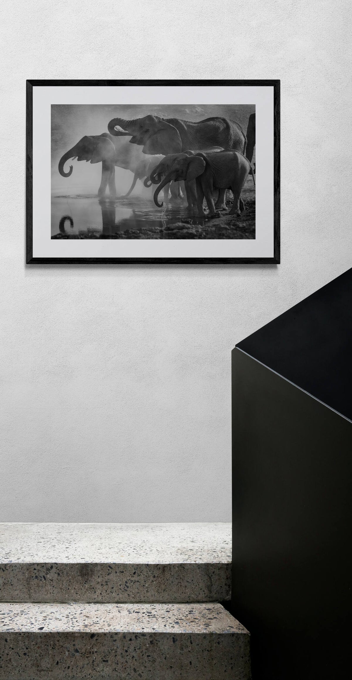 Éléphants dans un intérieur