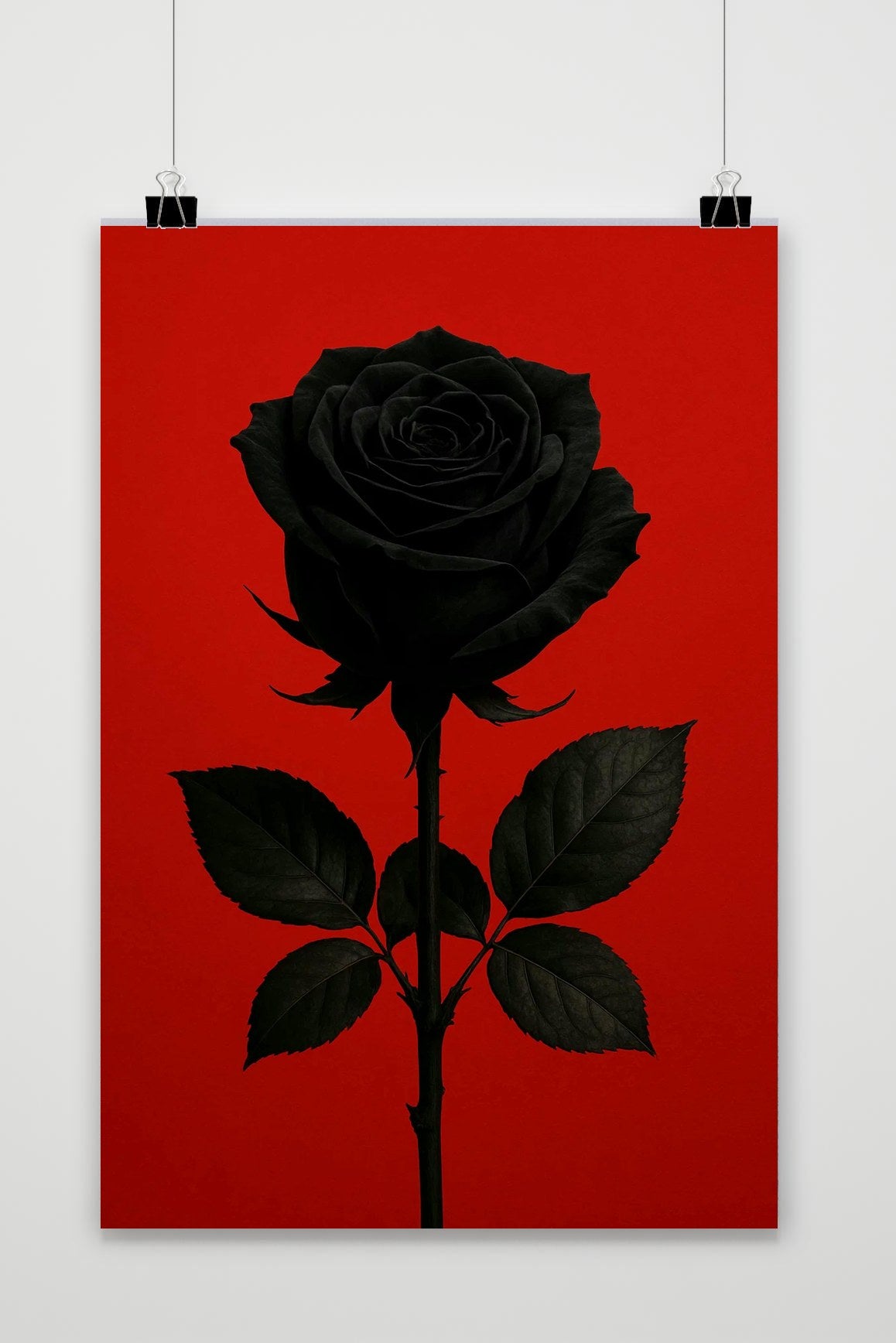 Affiche Black Rose de 25 Artstreet