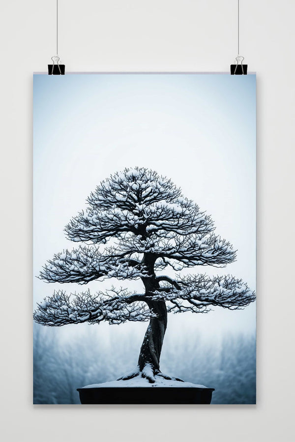 Póster Bonsai Snow