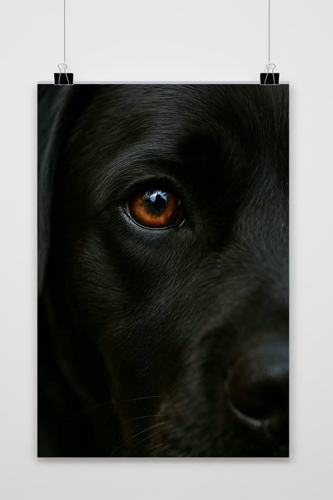 Dog Eye poster van 25 Artstreet