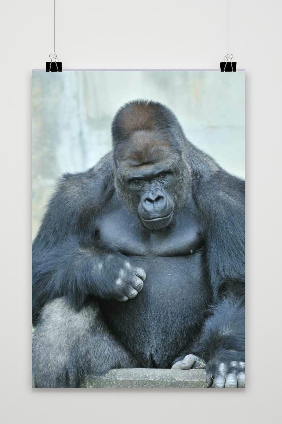 Gorilla poster van 25 Artstreet