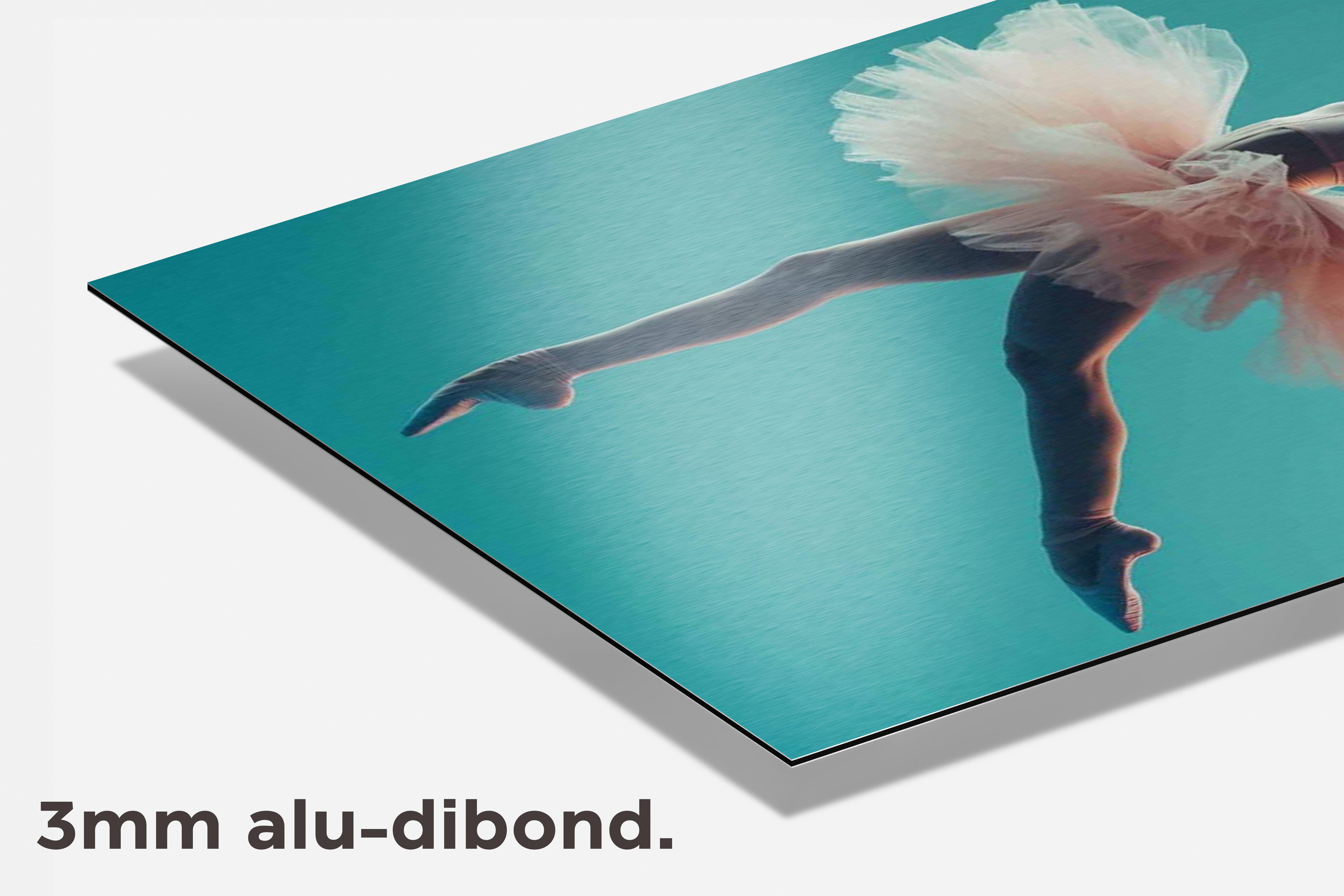 Ballerina dibond detail