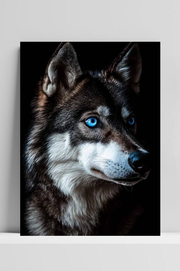 Wolf Ogen op 3mm aluminium dibond