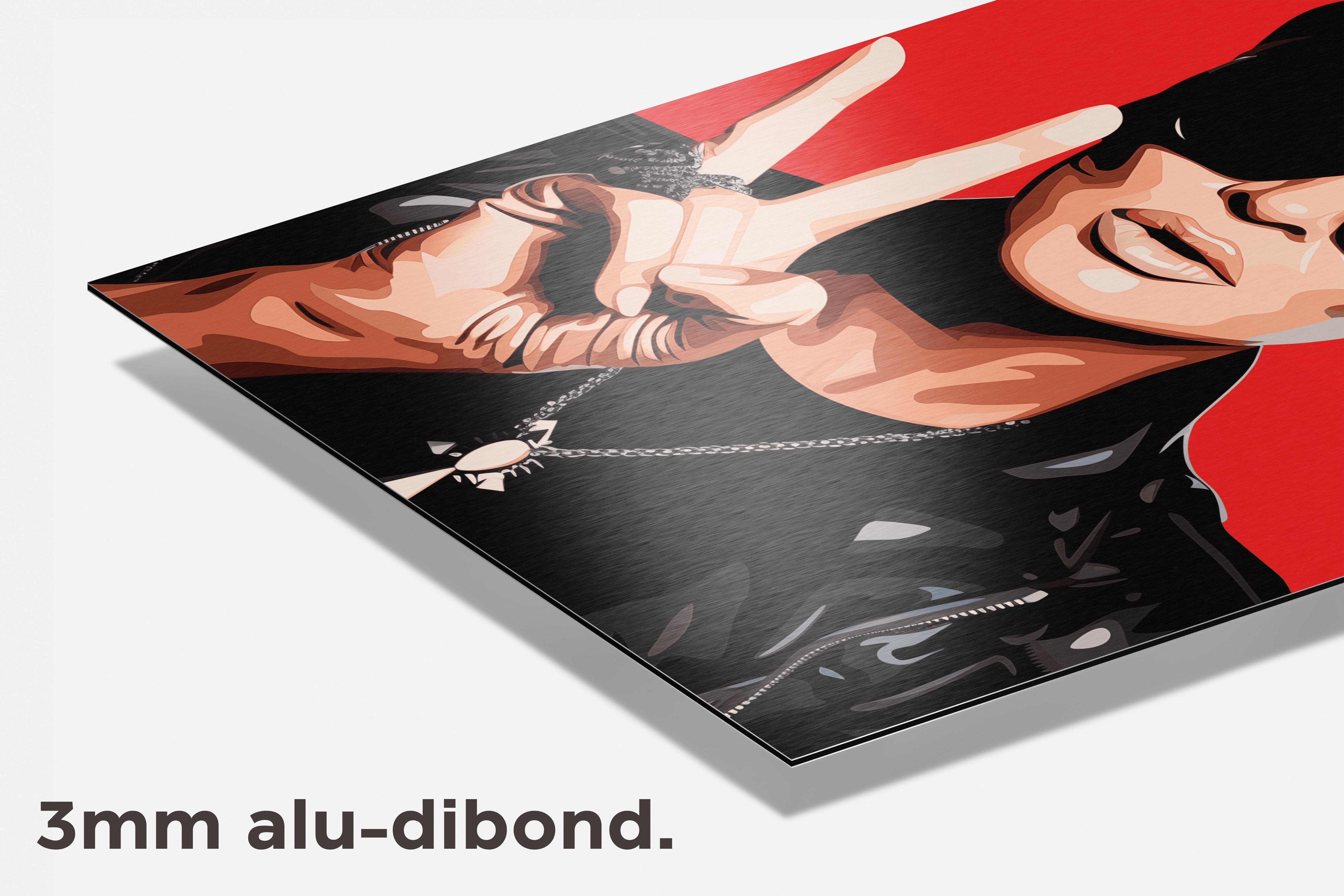 Kirs Jenner Rood Wit dibond detail
