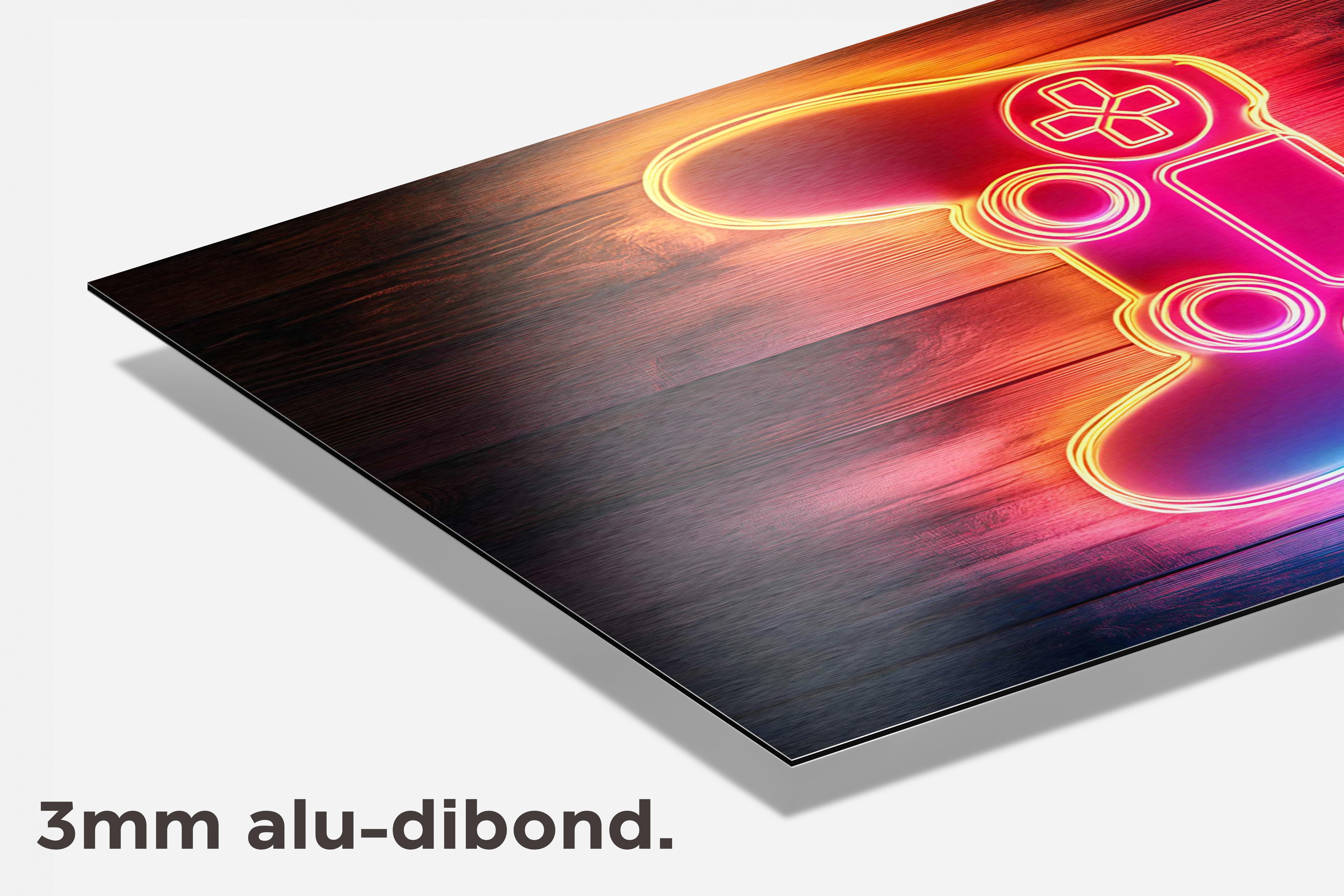 Game Controller dibond detail
