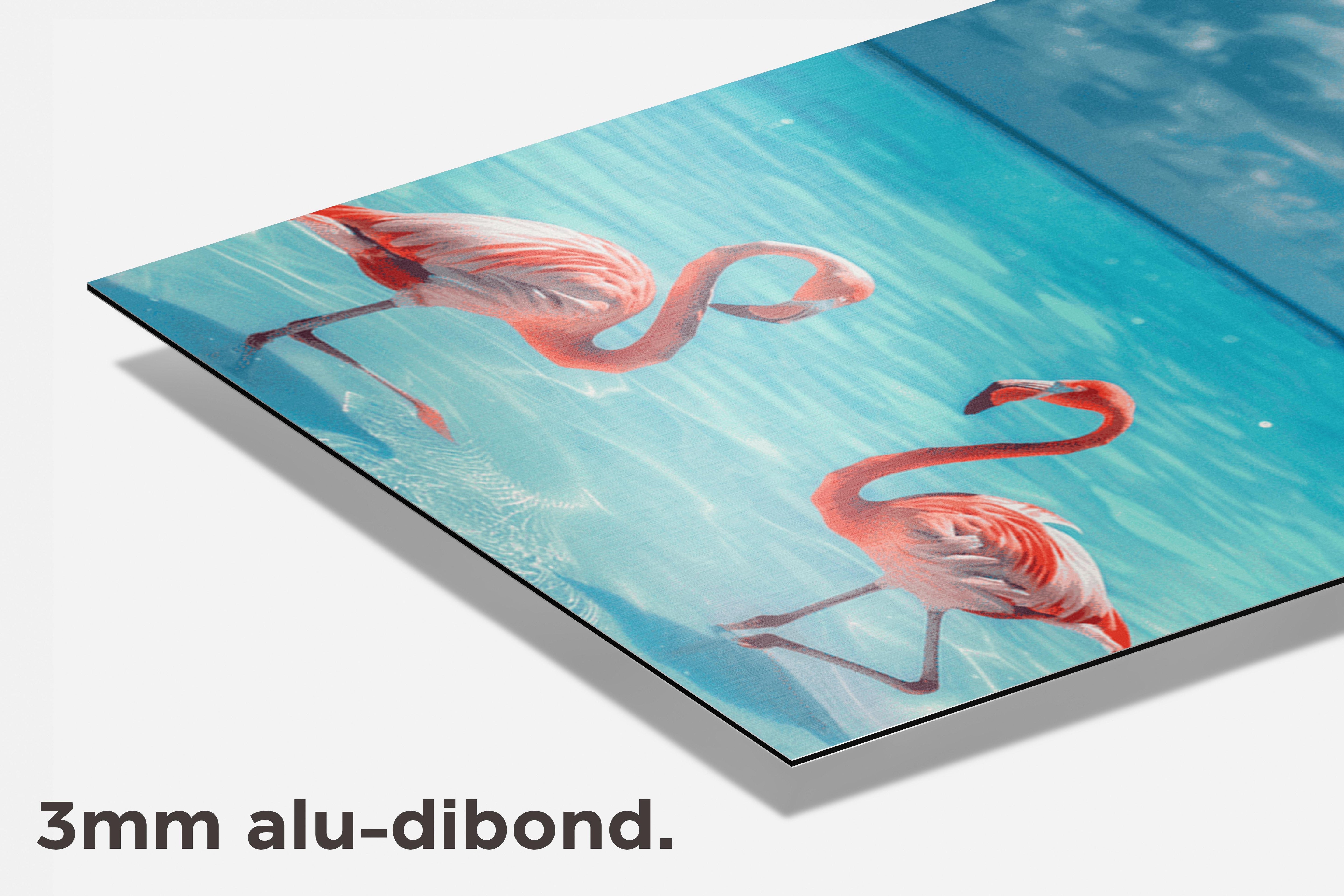 Flamingo Strand dibond detail