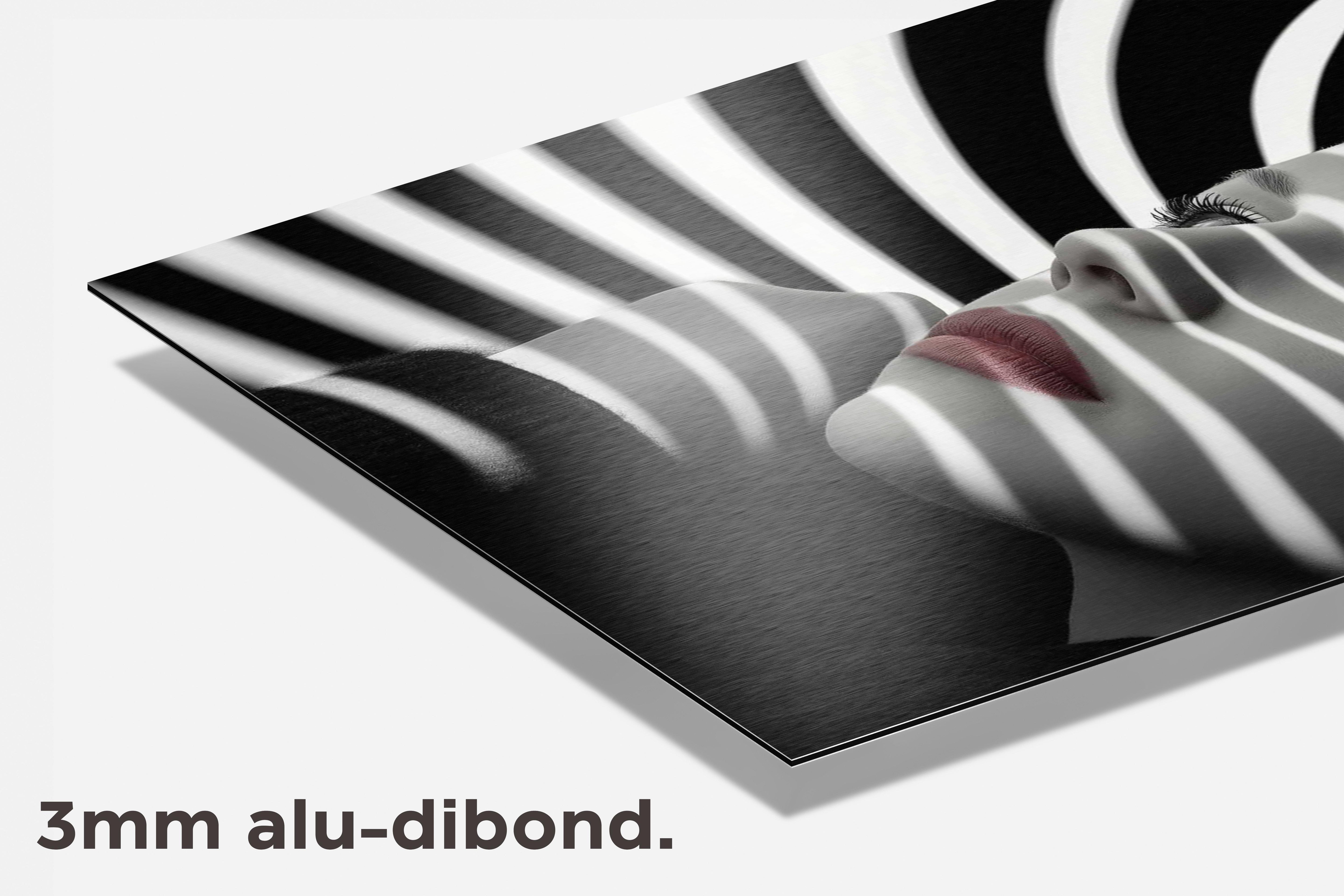 Strepen Schaduw dibond detail