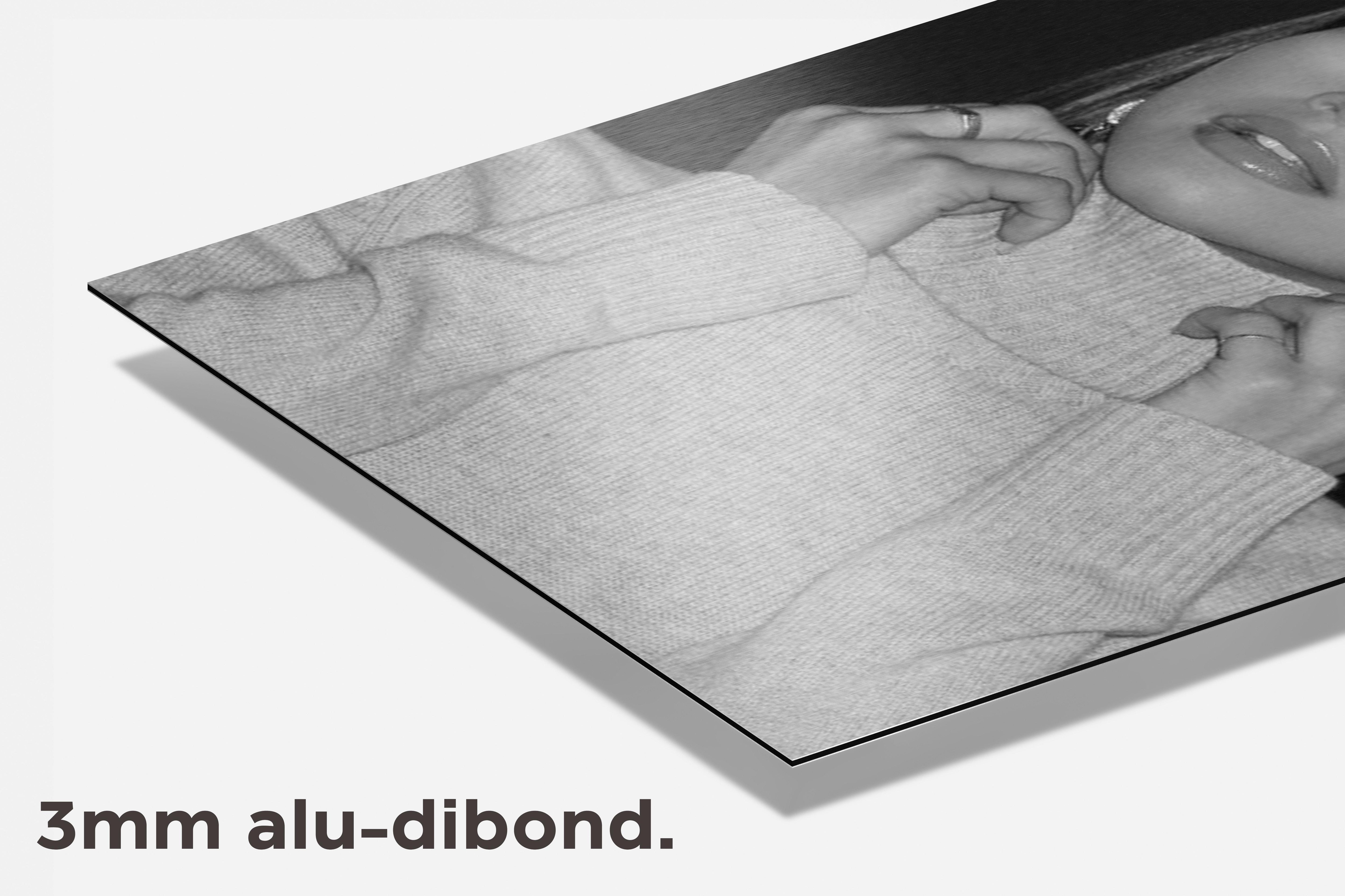 Zendaya Zwart Wit dibond detail