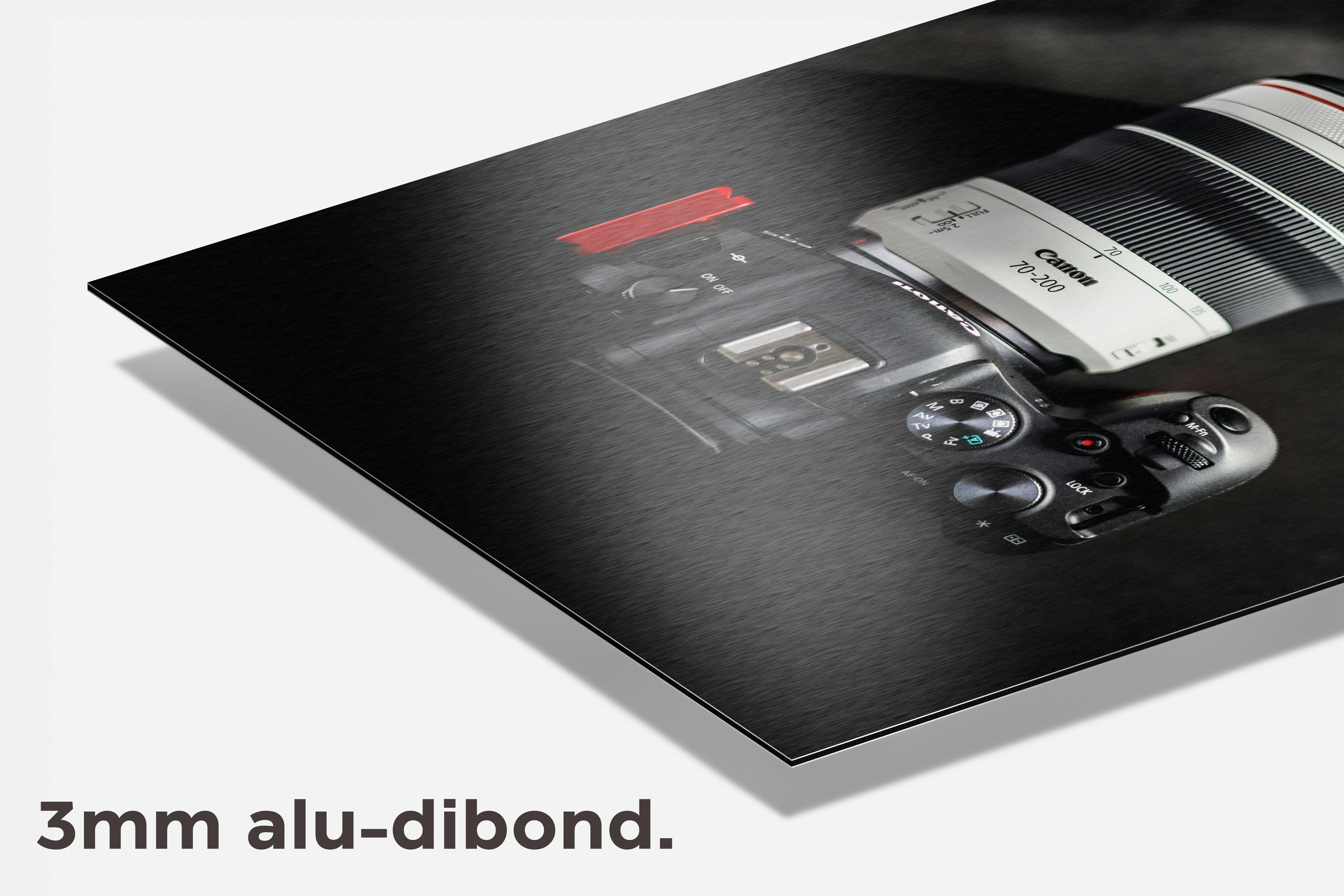 Canon Camera dibond detail