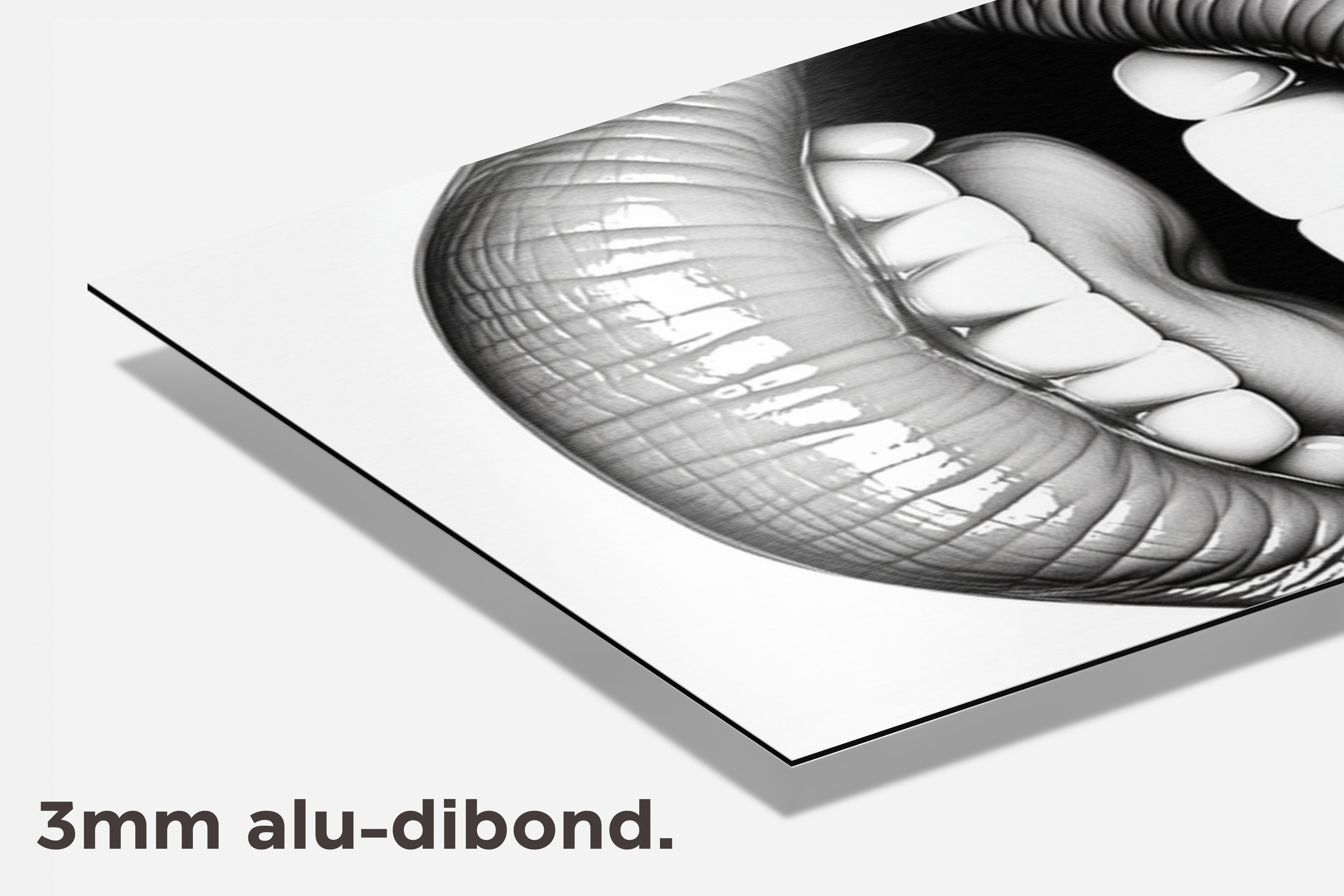 Mond met Tanden dibond detail