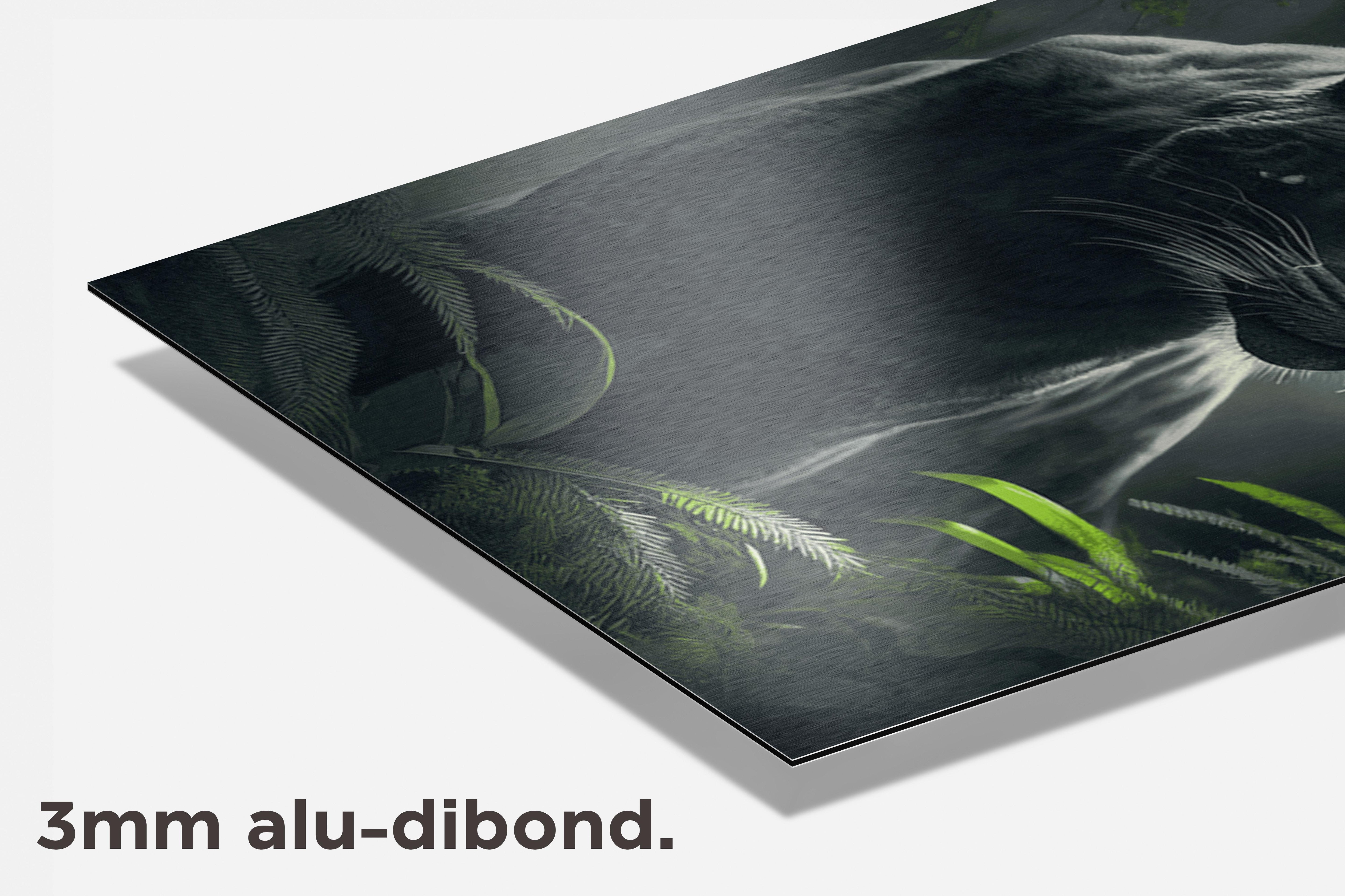 Zwarte Panter dibond detail