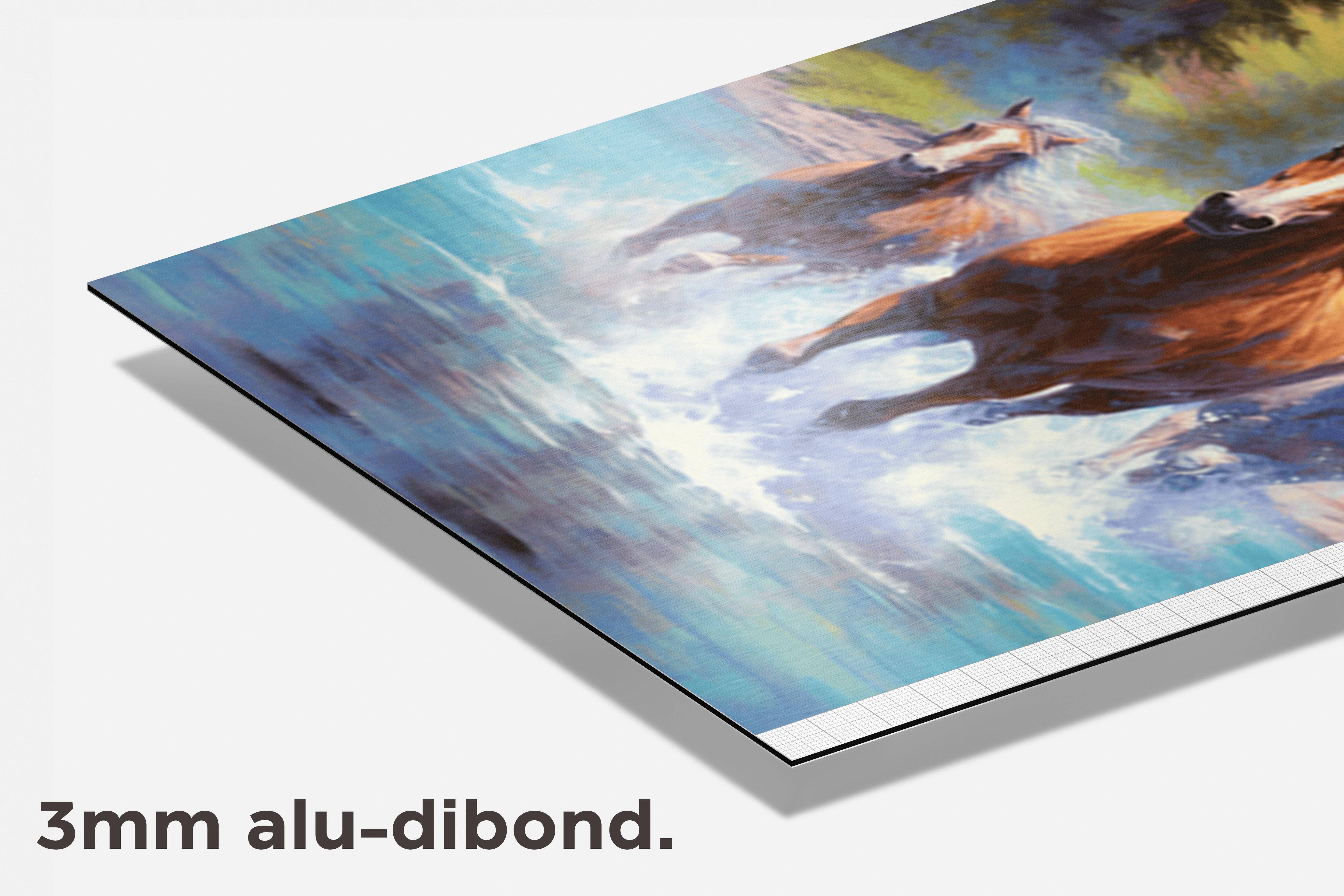 Paarden Poster dibond detail