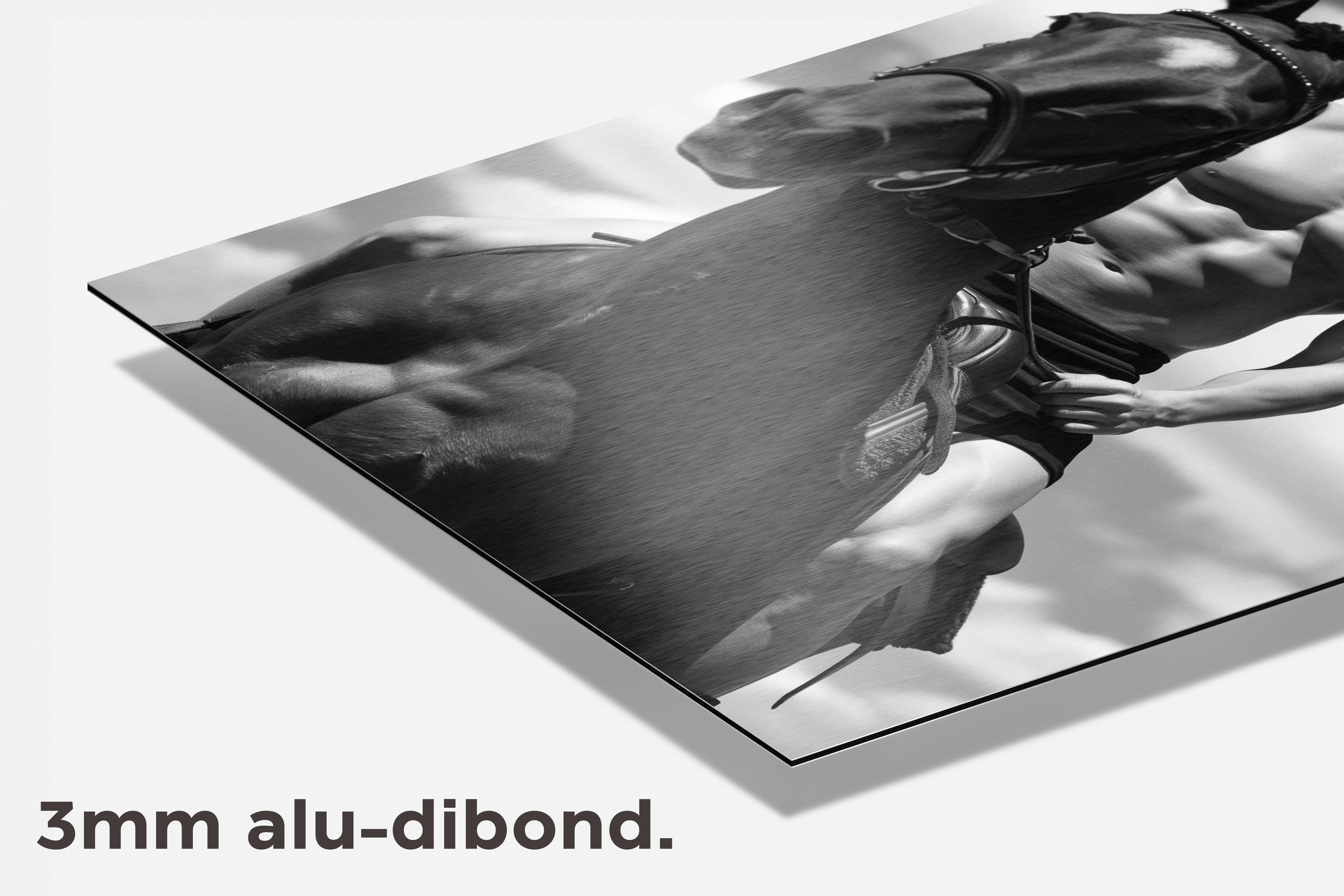 Lionel Messi Paard dibond detail