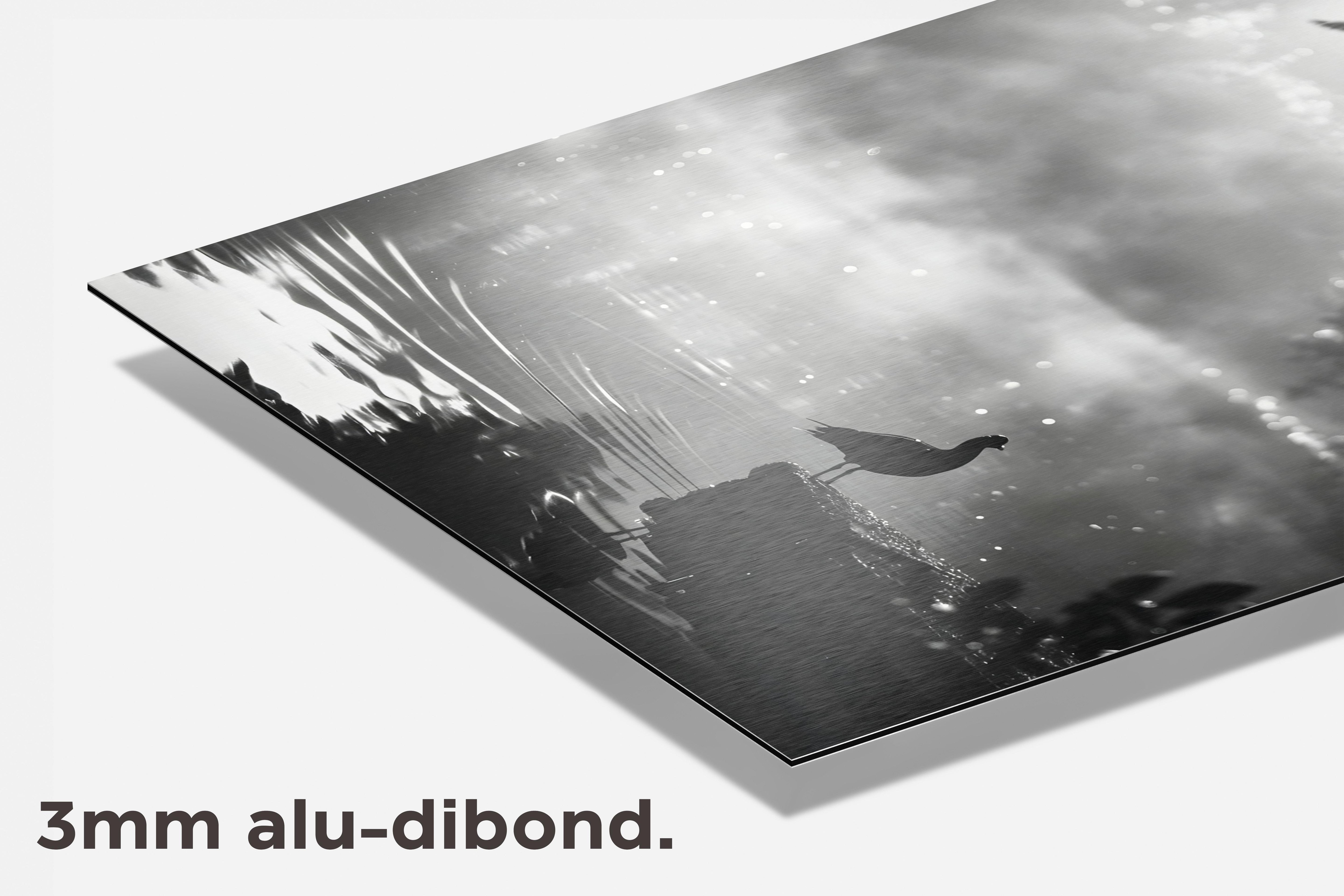 Mistig Meer dibond detail