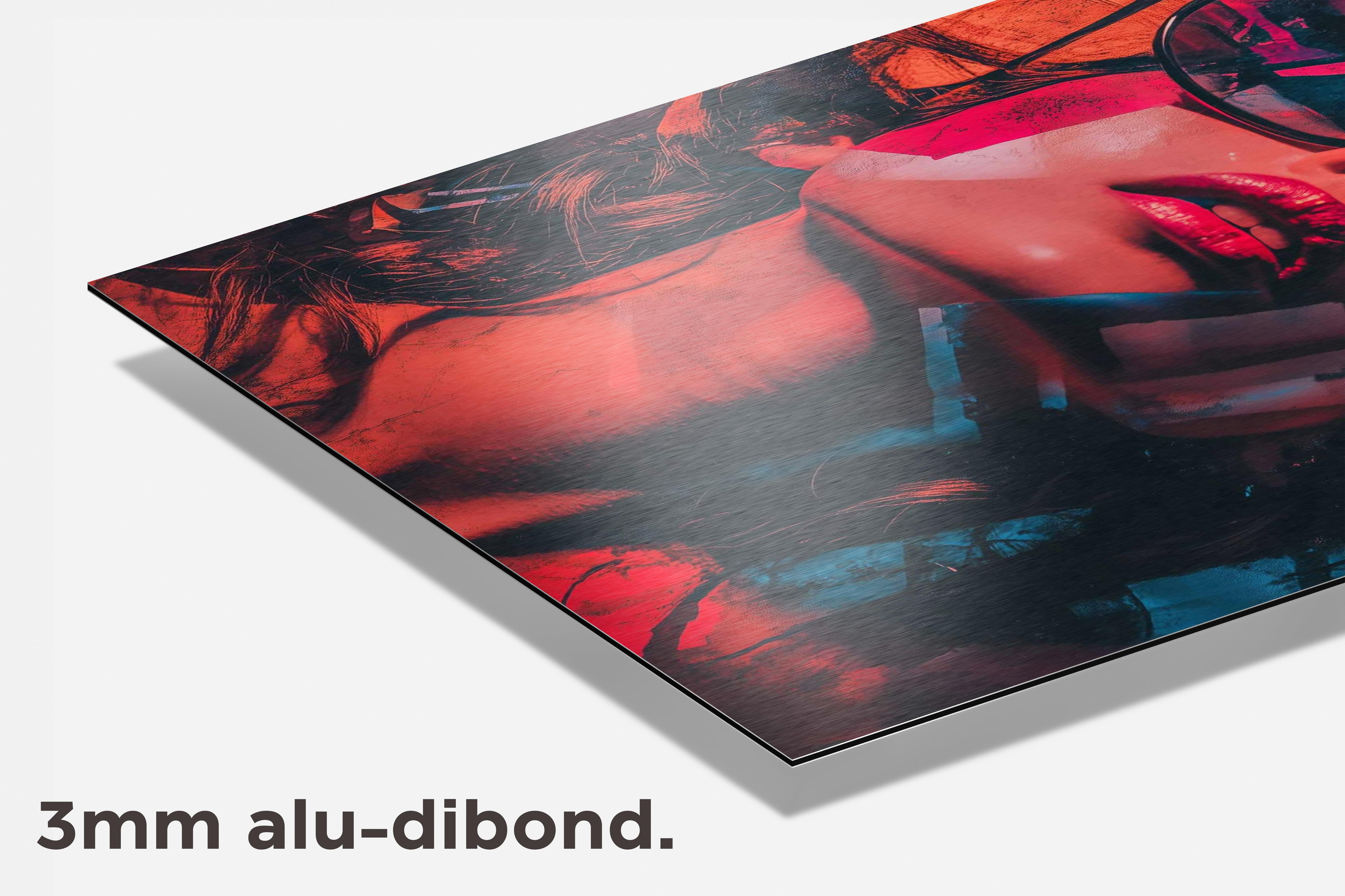 Vrouw Overlay dibond detail