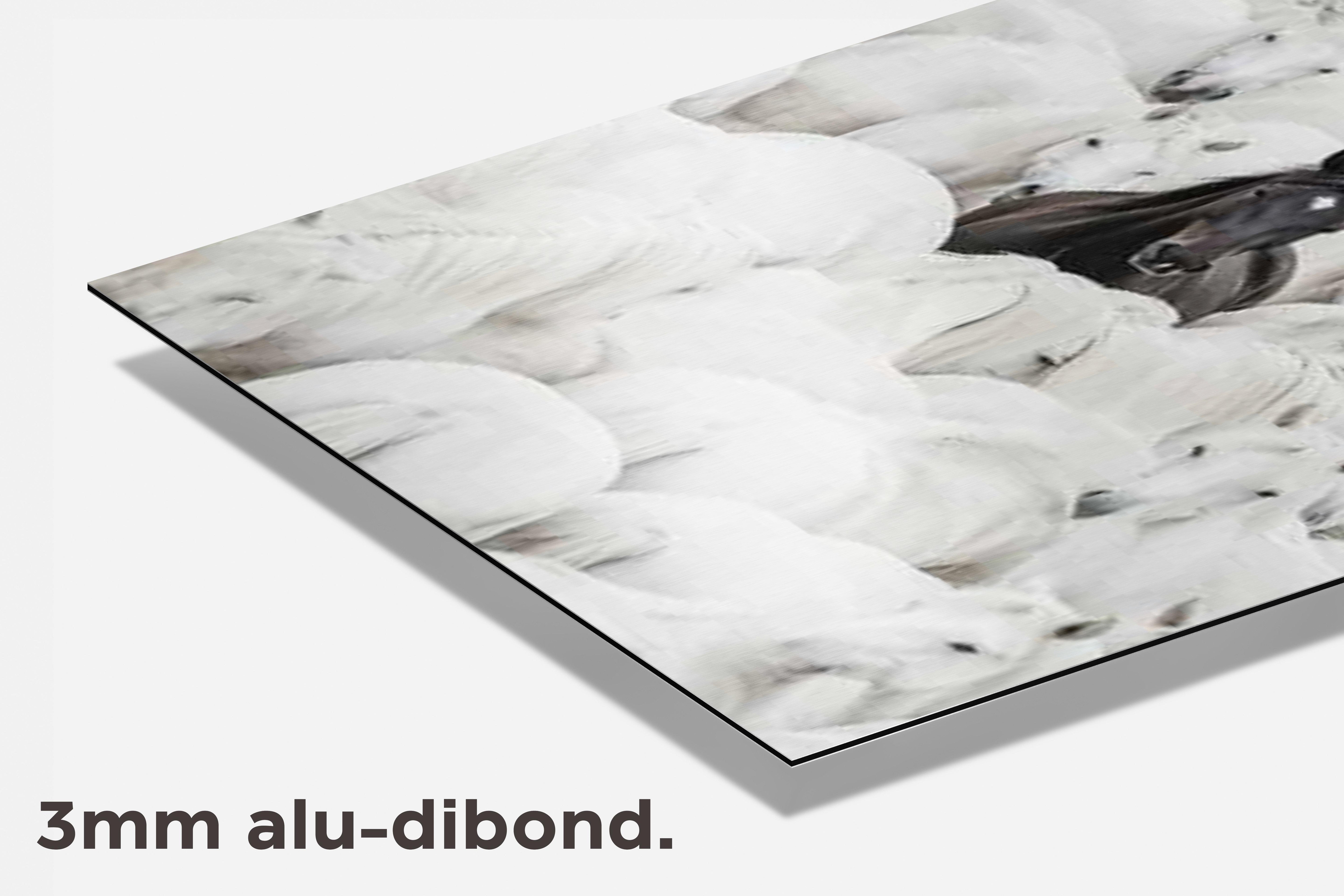 Paarden dibond detail