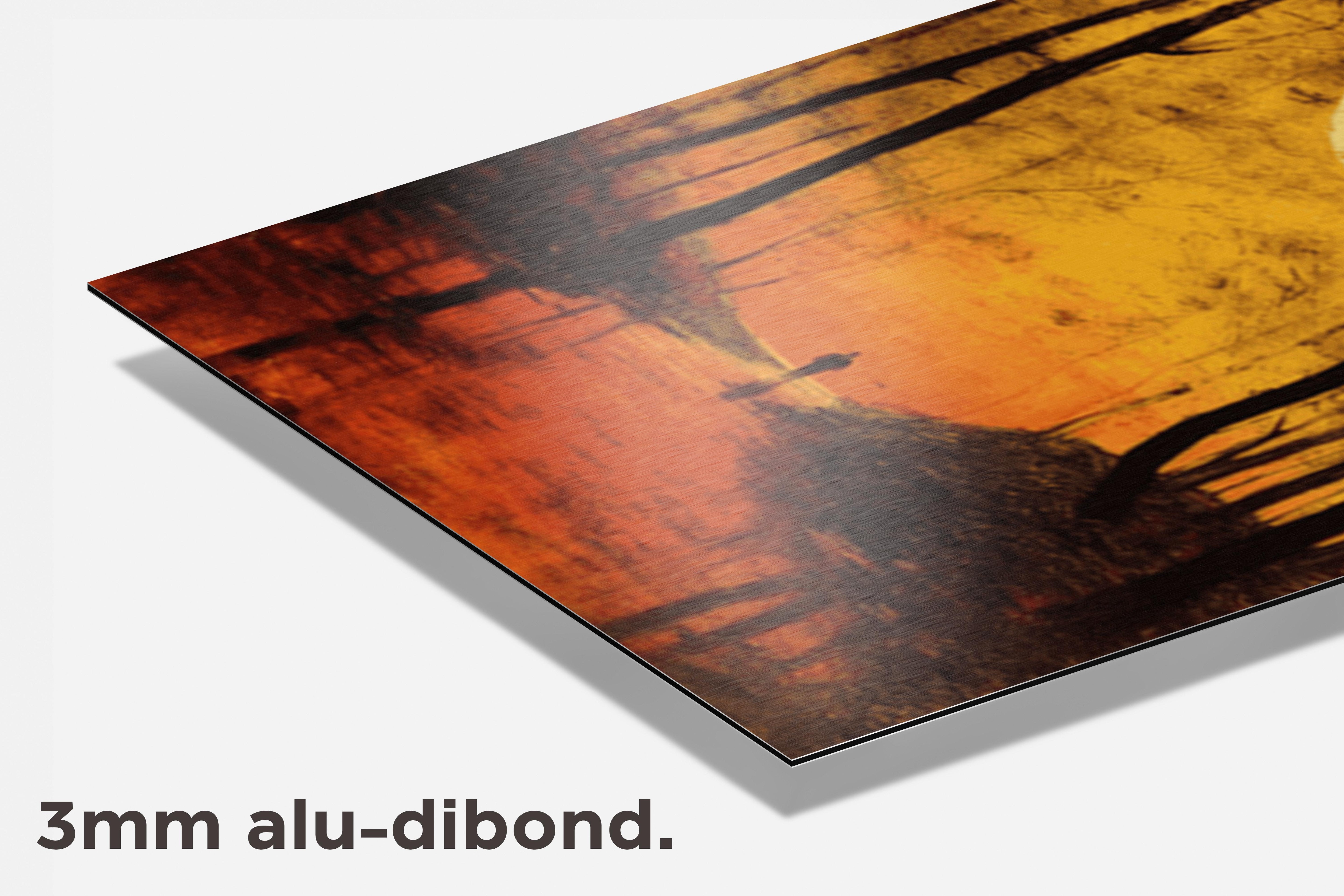 Boswandeling Sunset dibond detail