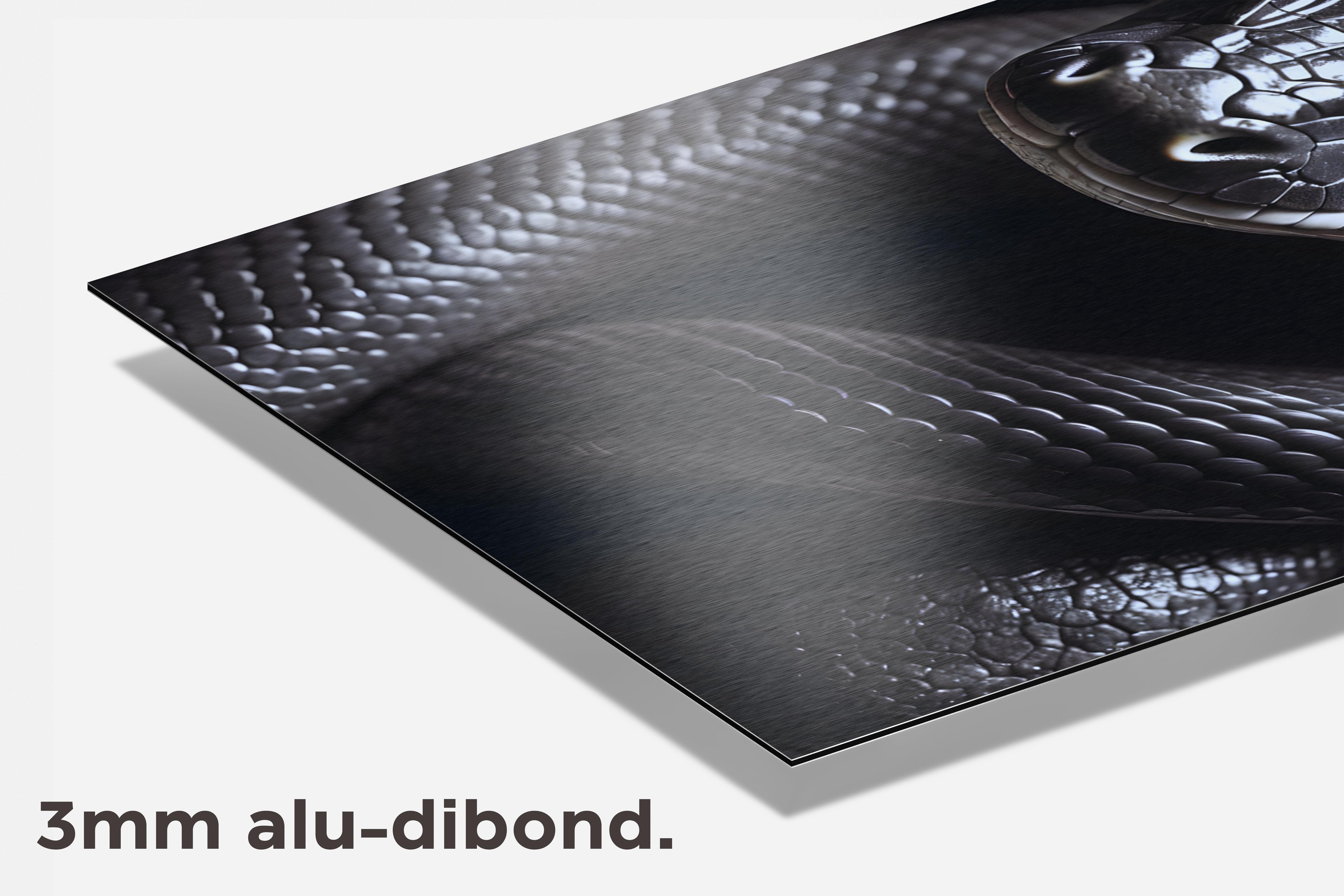 Zwarte Cobra dibond detail