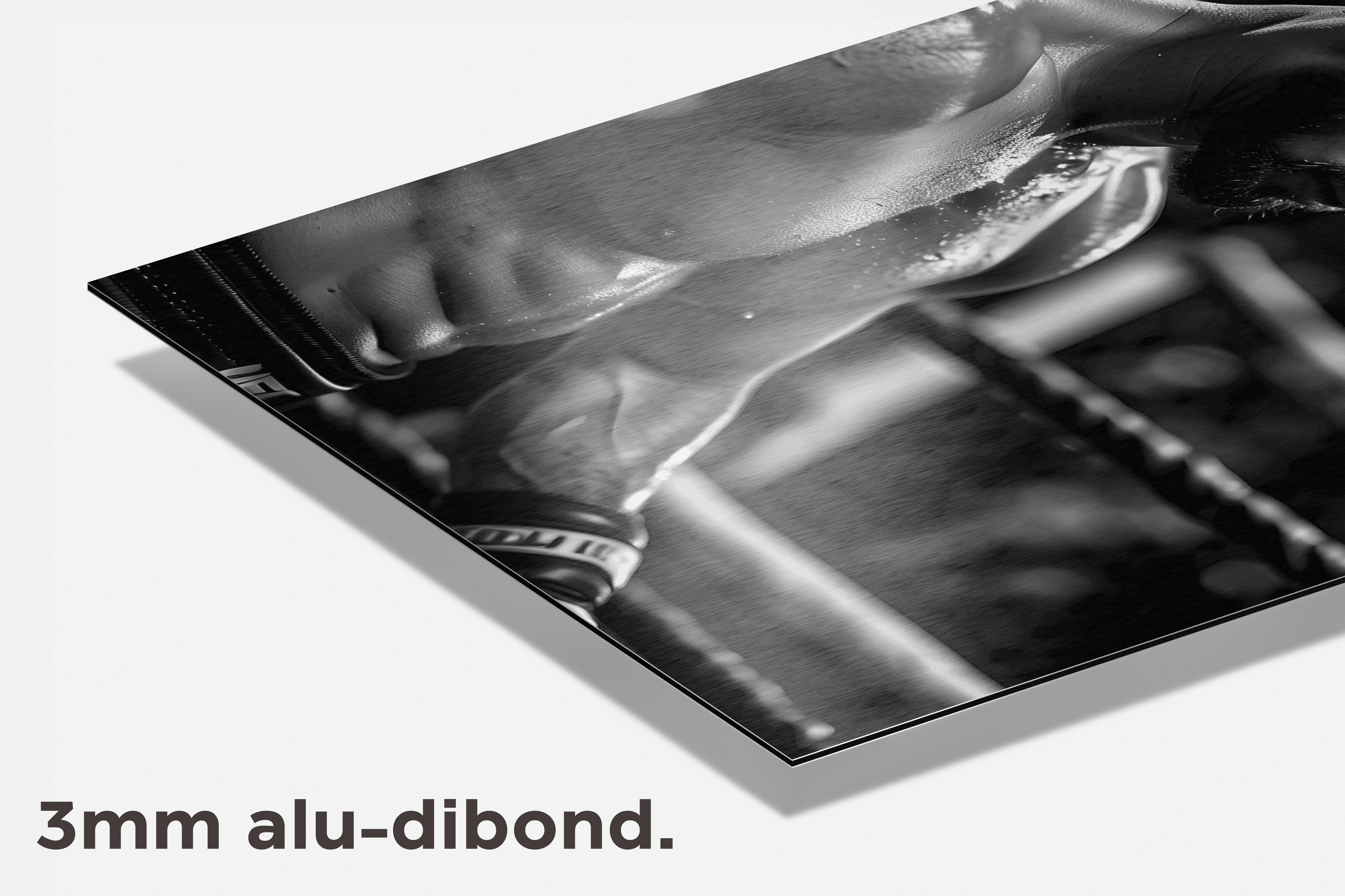 Bokser Zwart Wit dibond detail