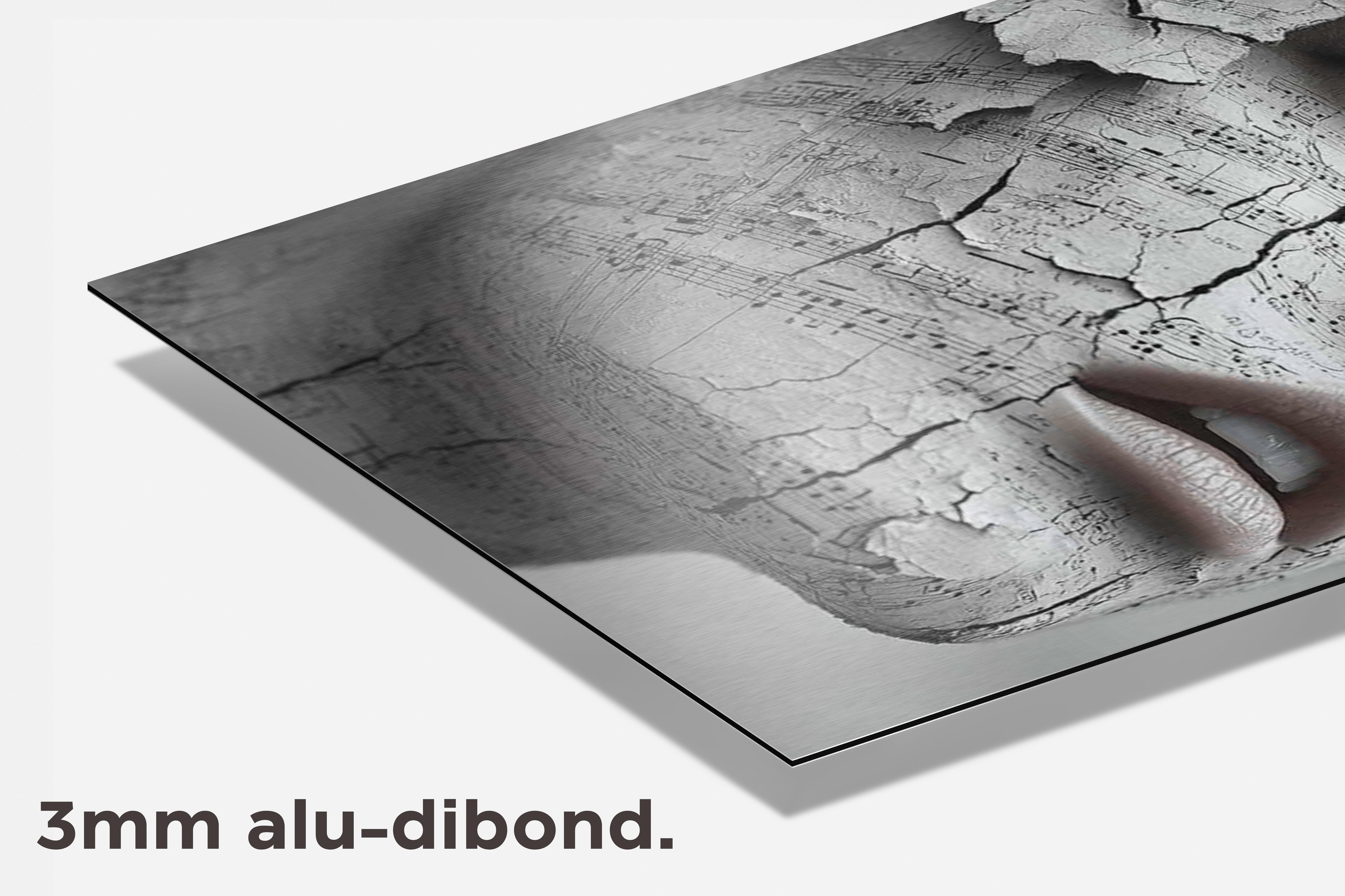 Gezicht Muzieknoten dibond detail
