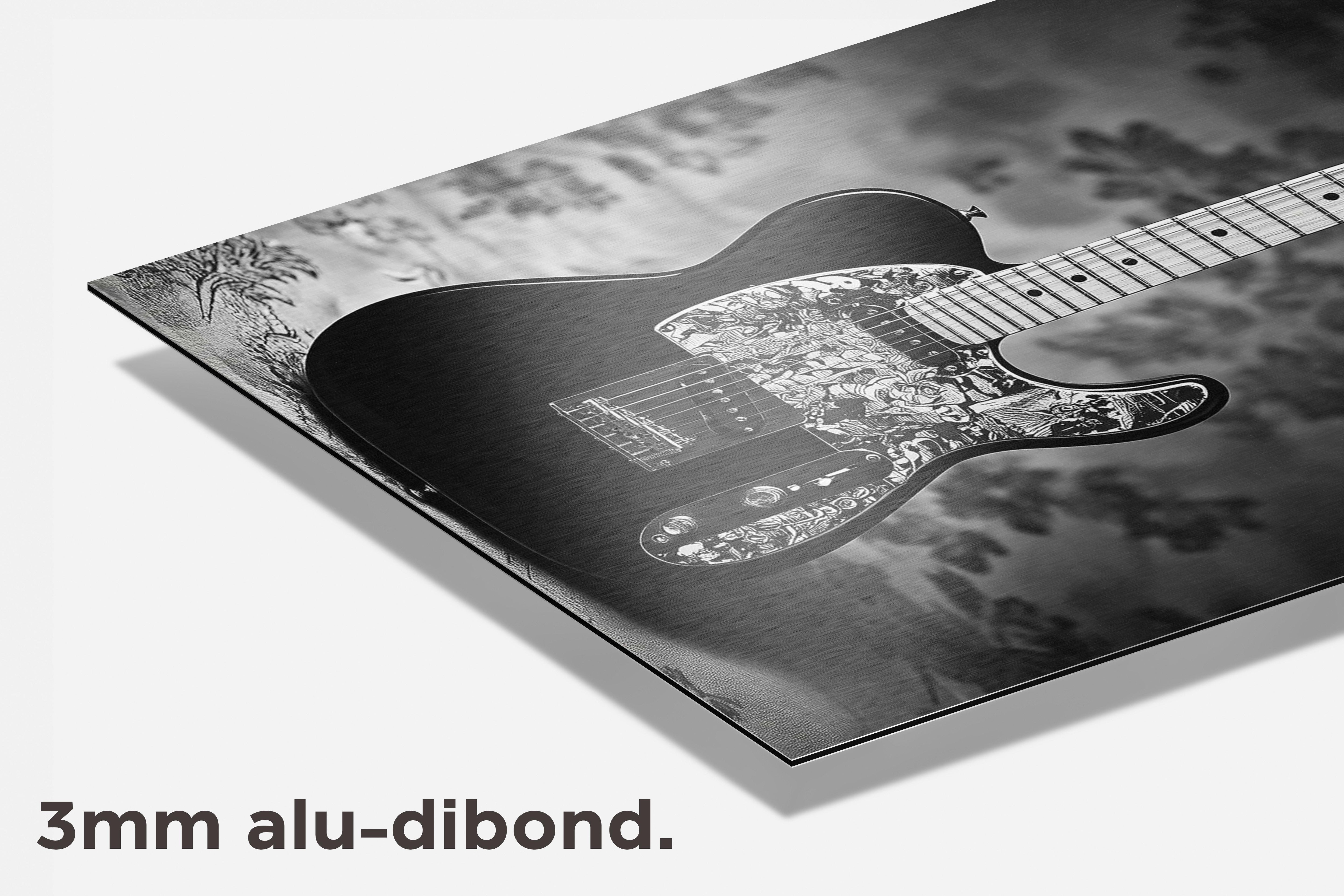 Gitaar Zwart-Wit dibond detail