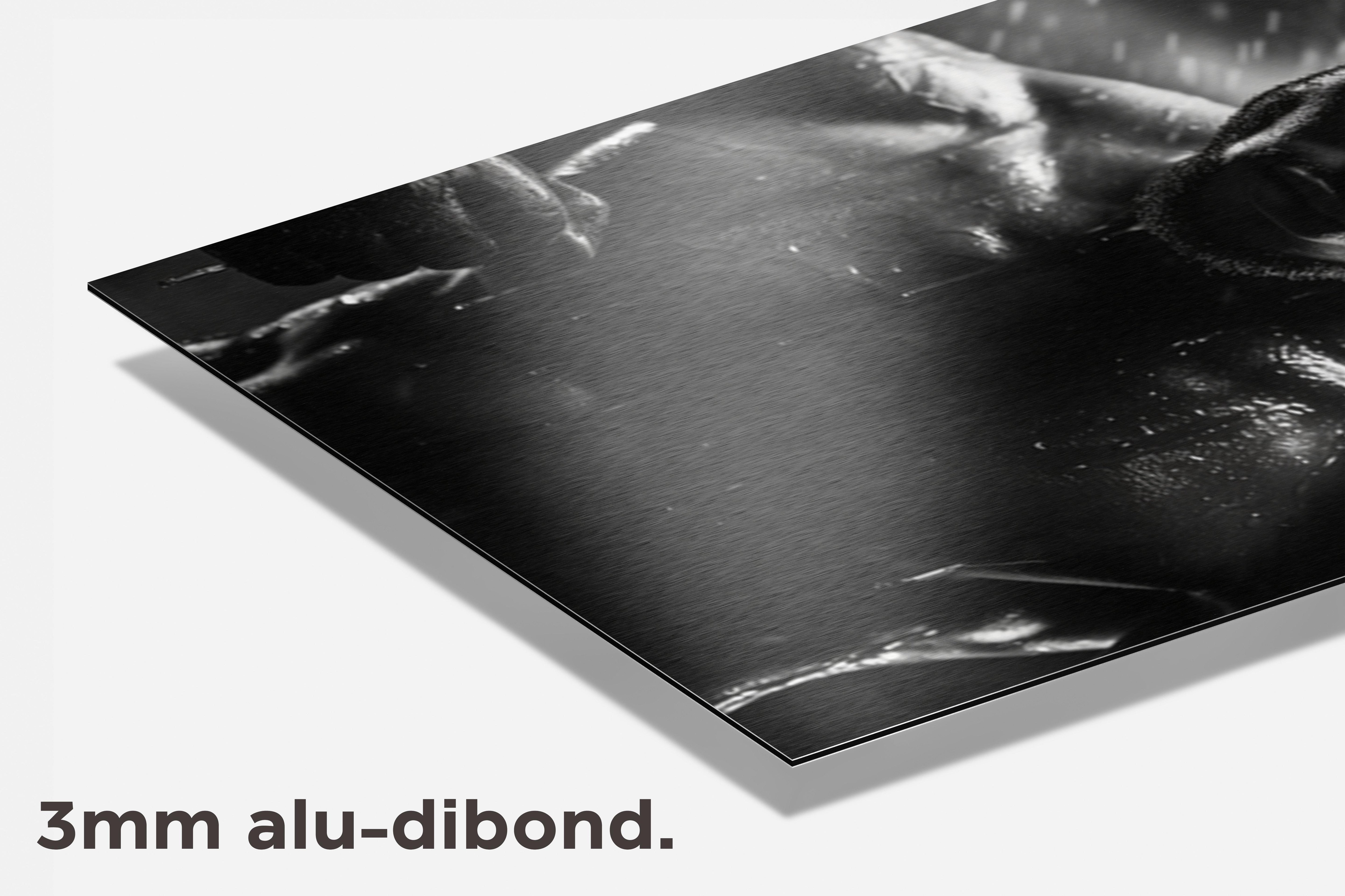 Bokser Zwart Wit dibond detail