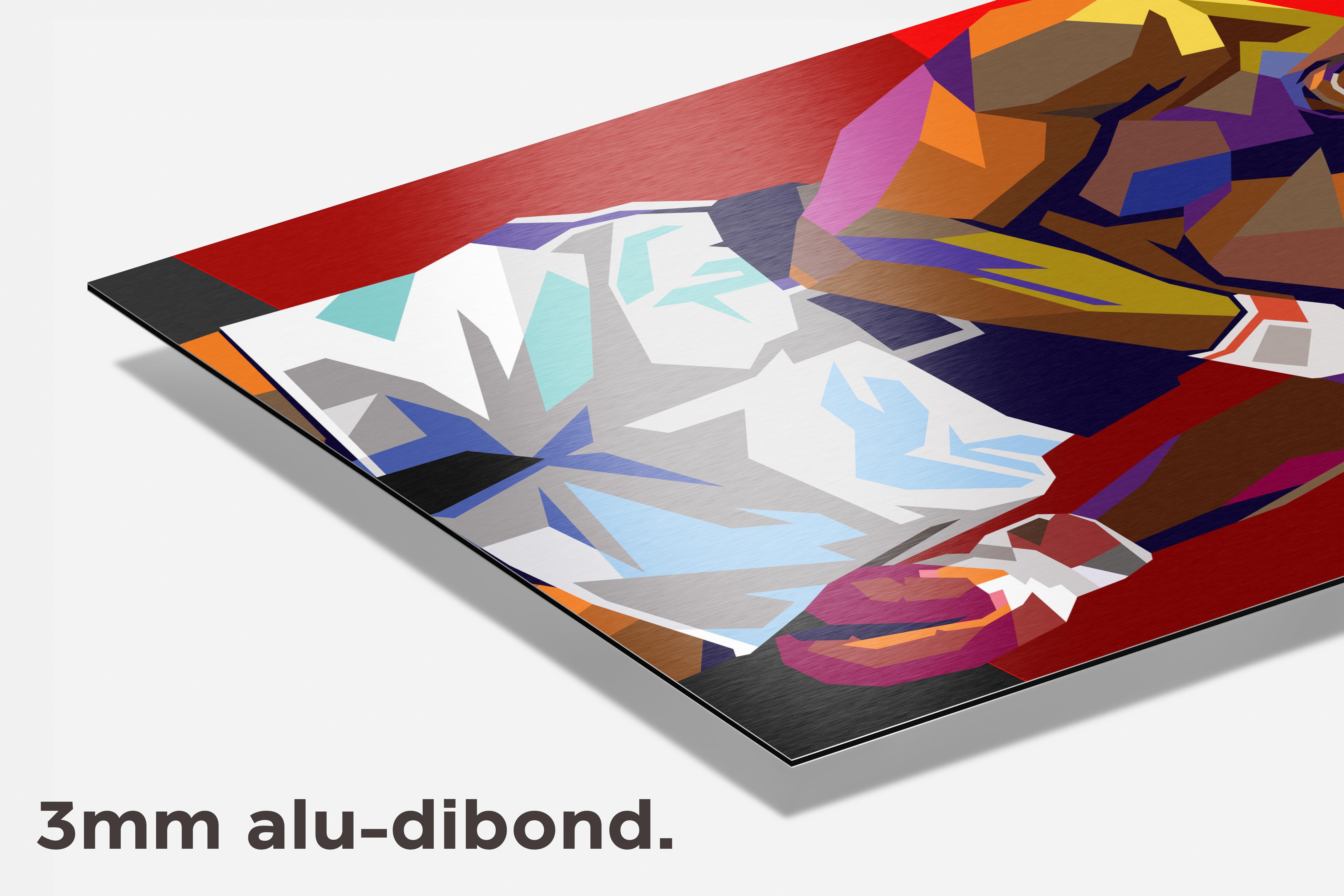 Ali Pop dibond detail