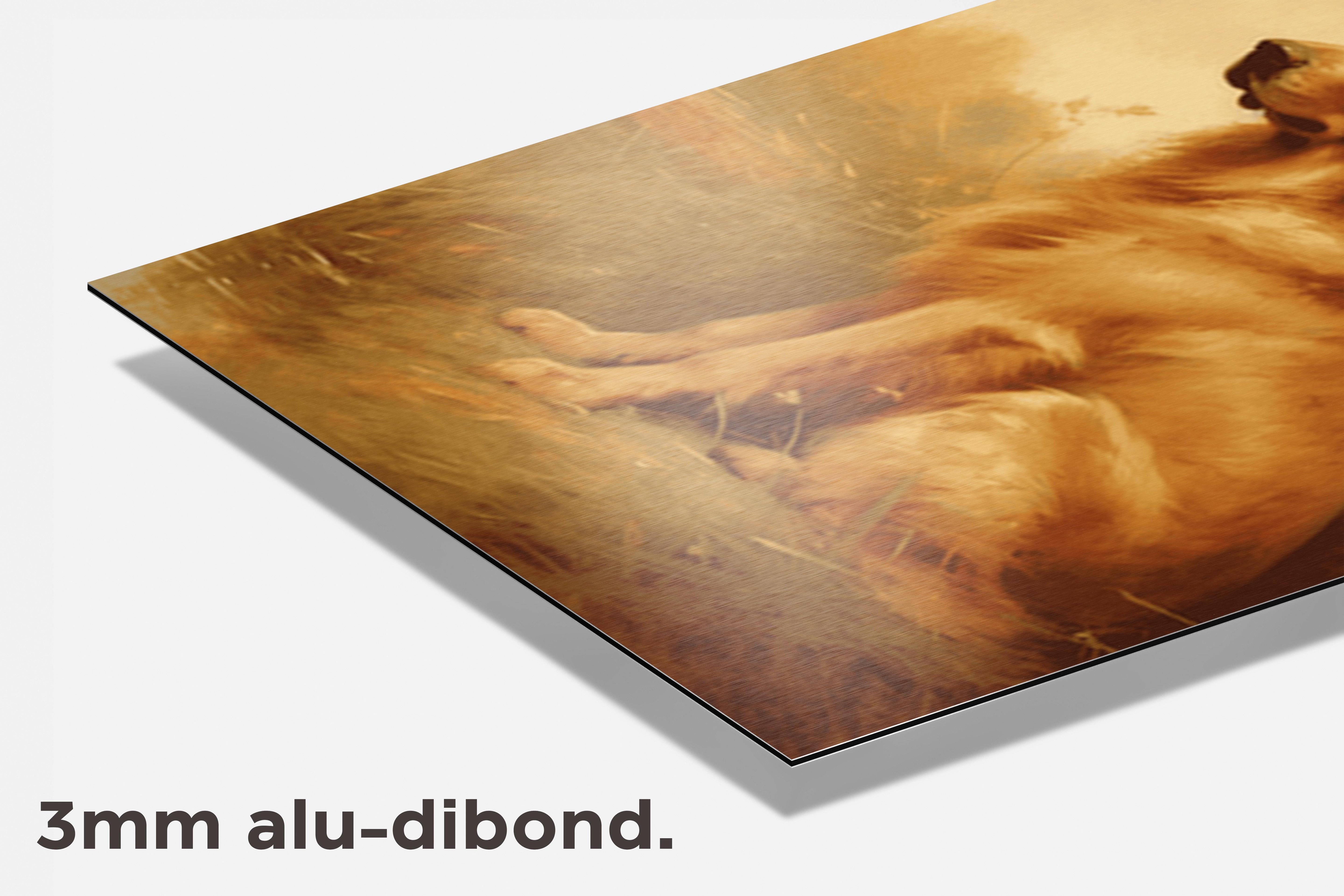 Hondenposter dibond detail