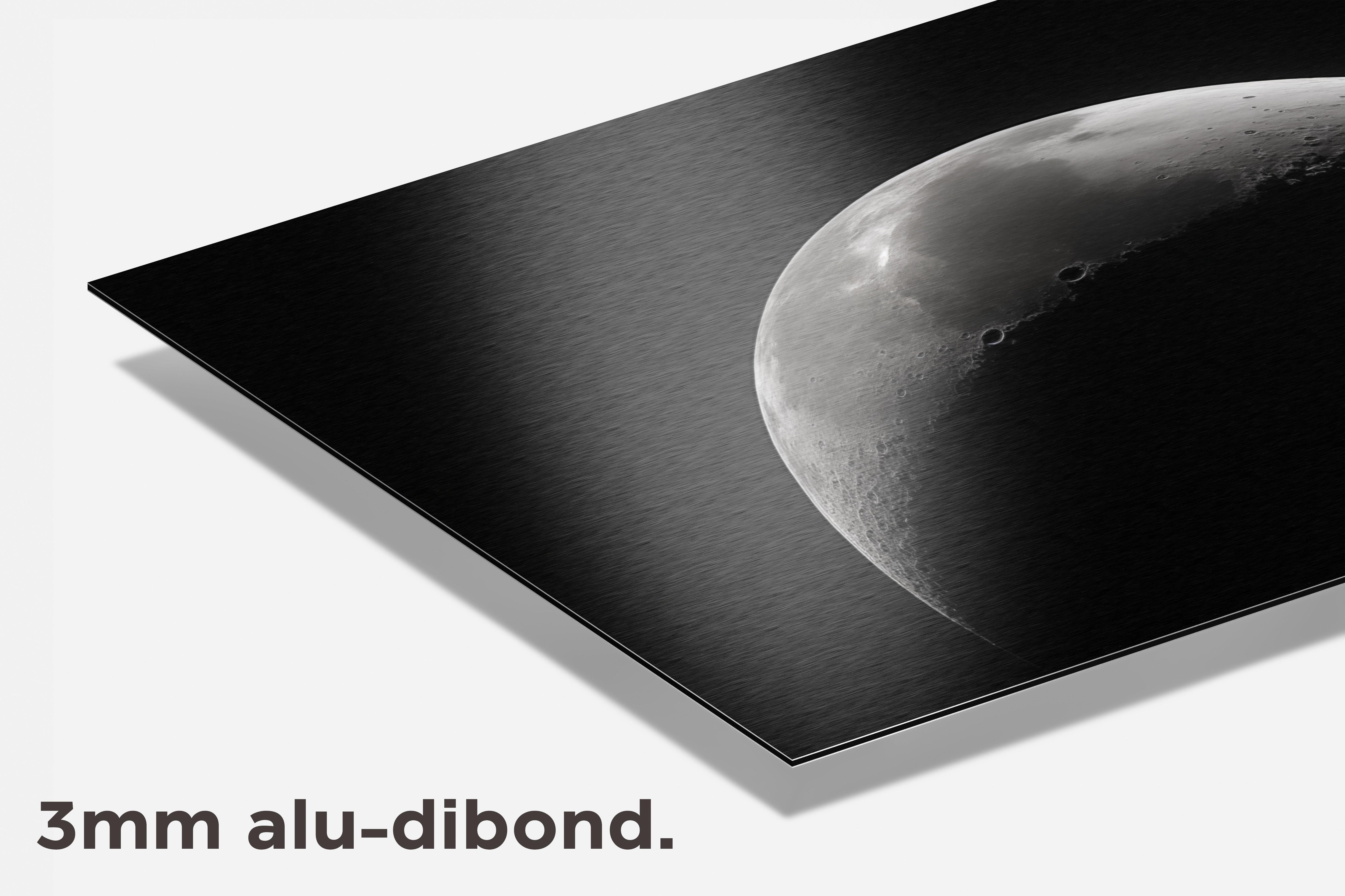 Halve Maan dibond detail
