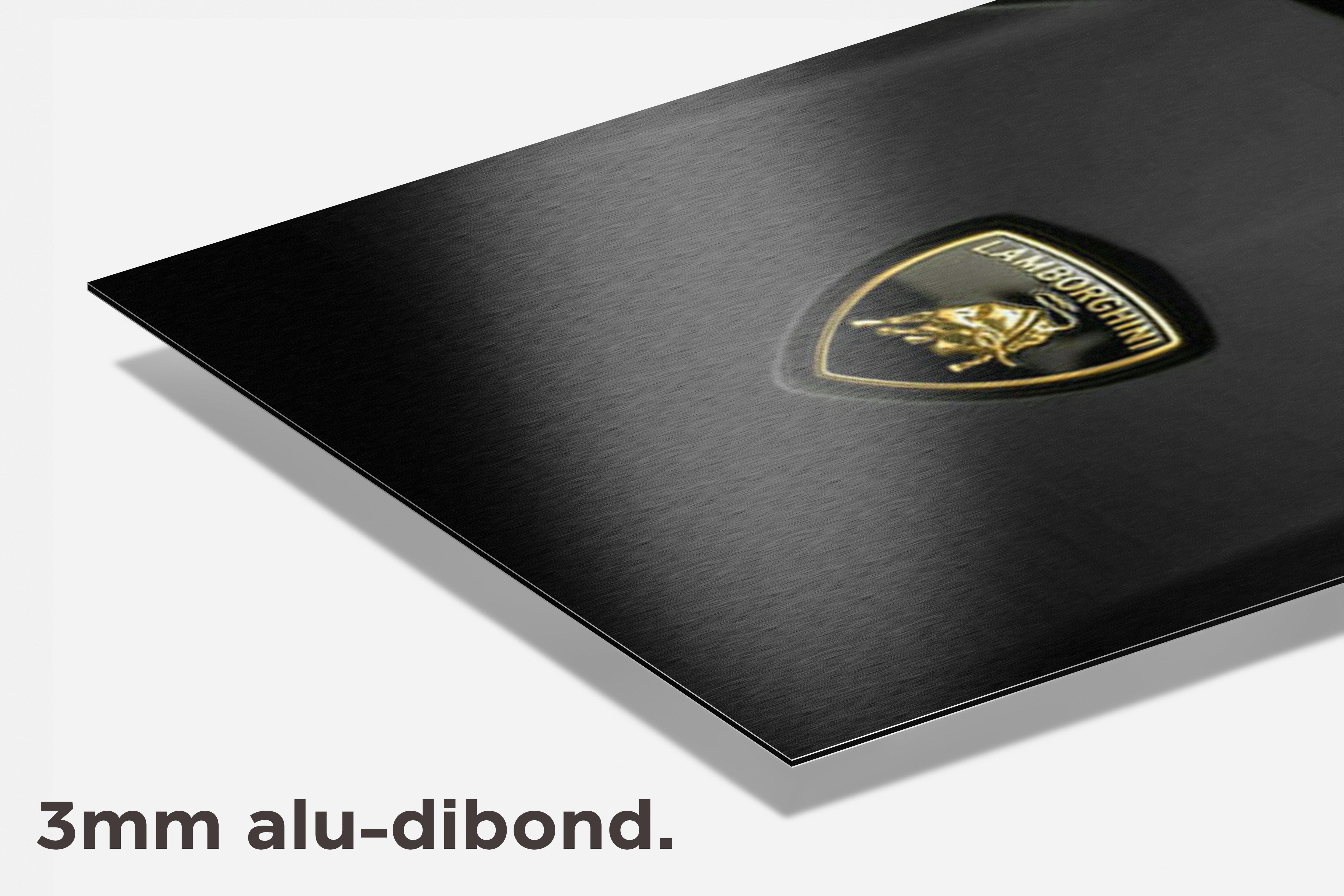 Lambo Bull Black dibond detail