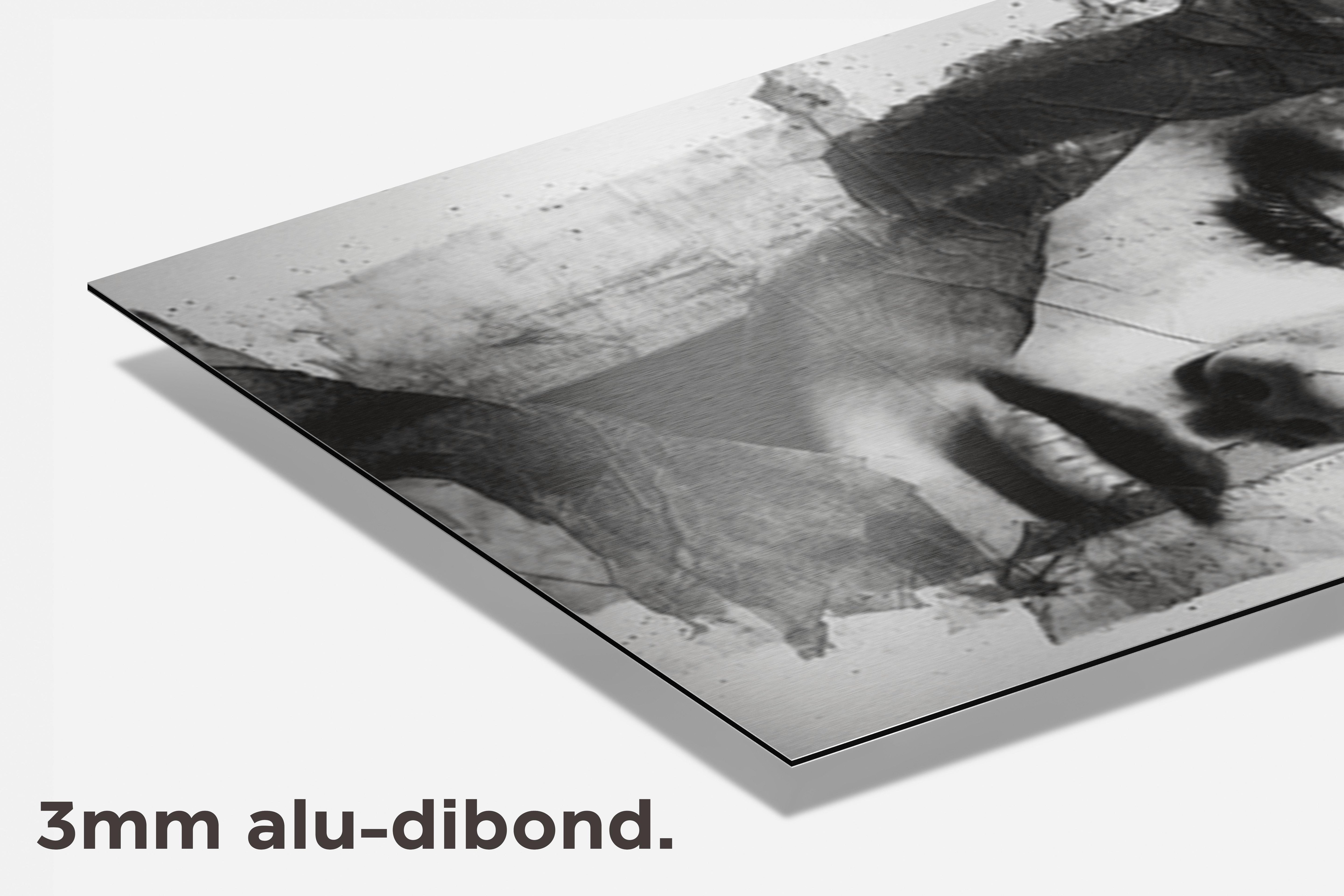 Vrouw Abstract dibond detail