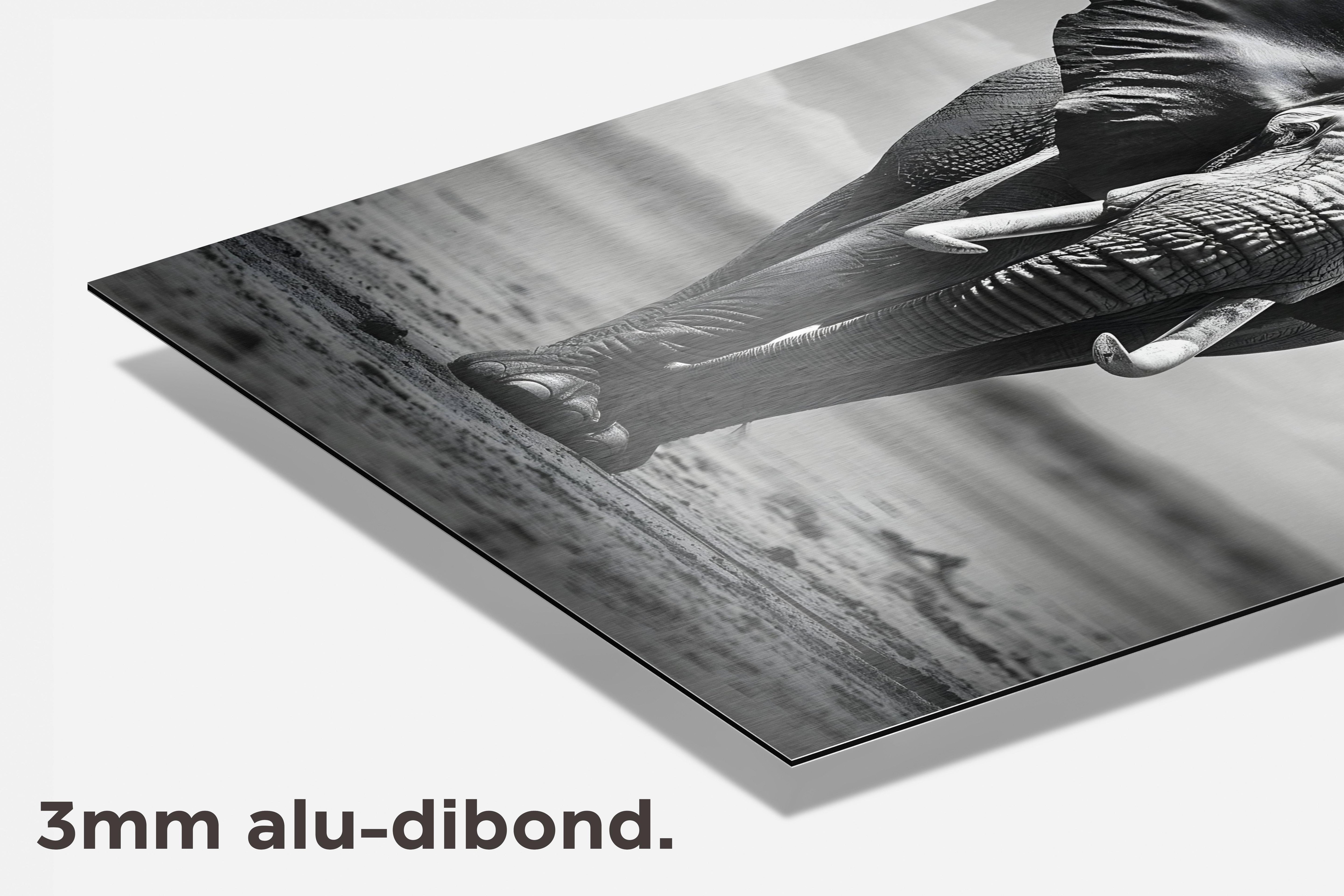 Olifant Wandeling dibond detail
