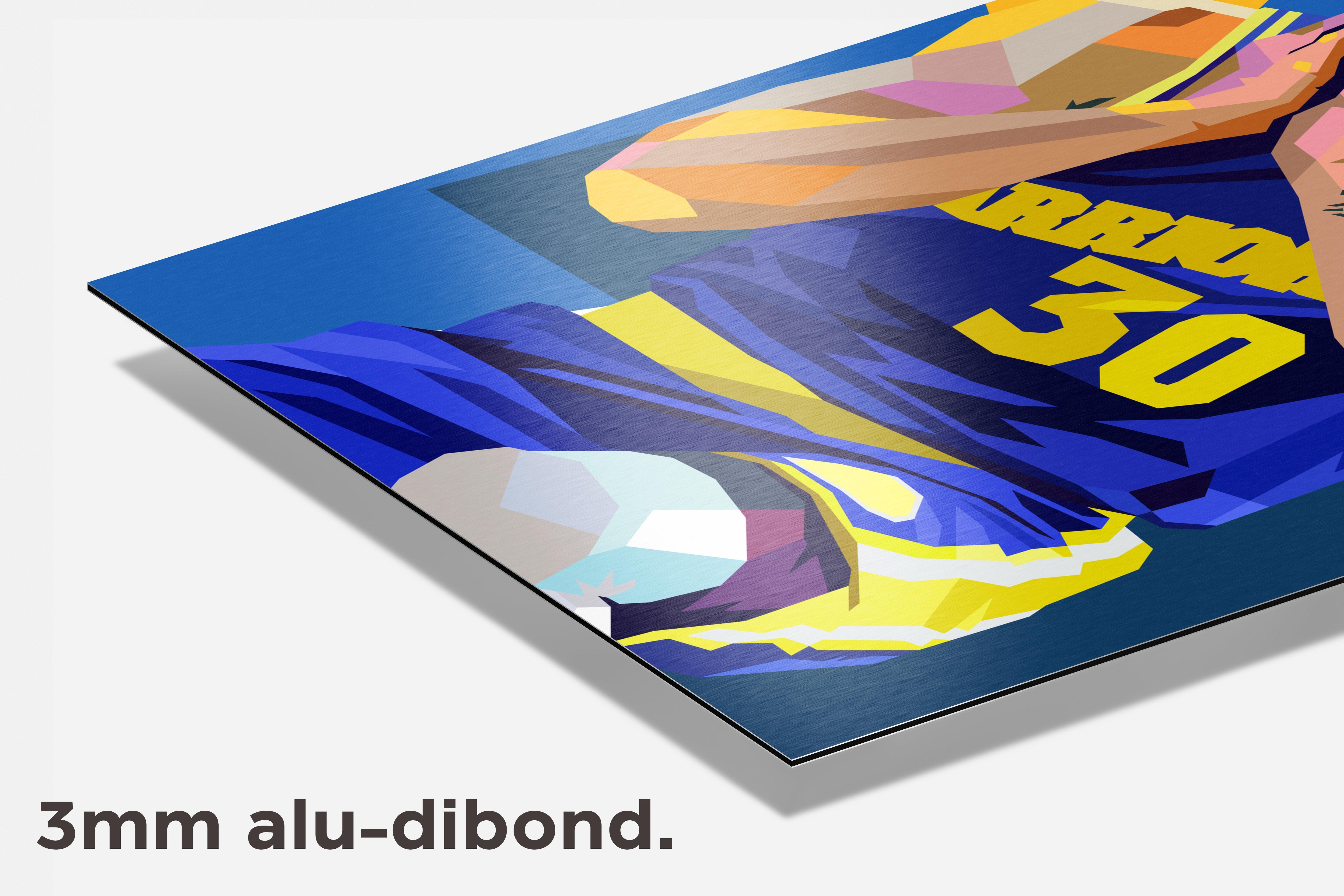 Stephan Curry dibond detail
