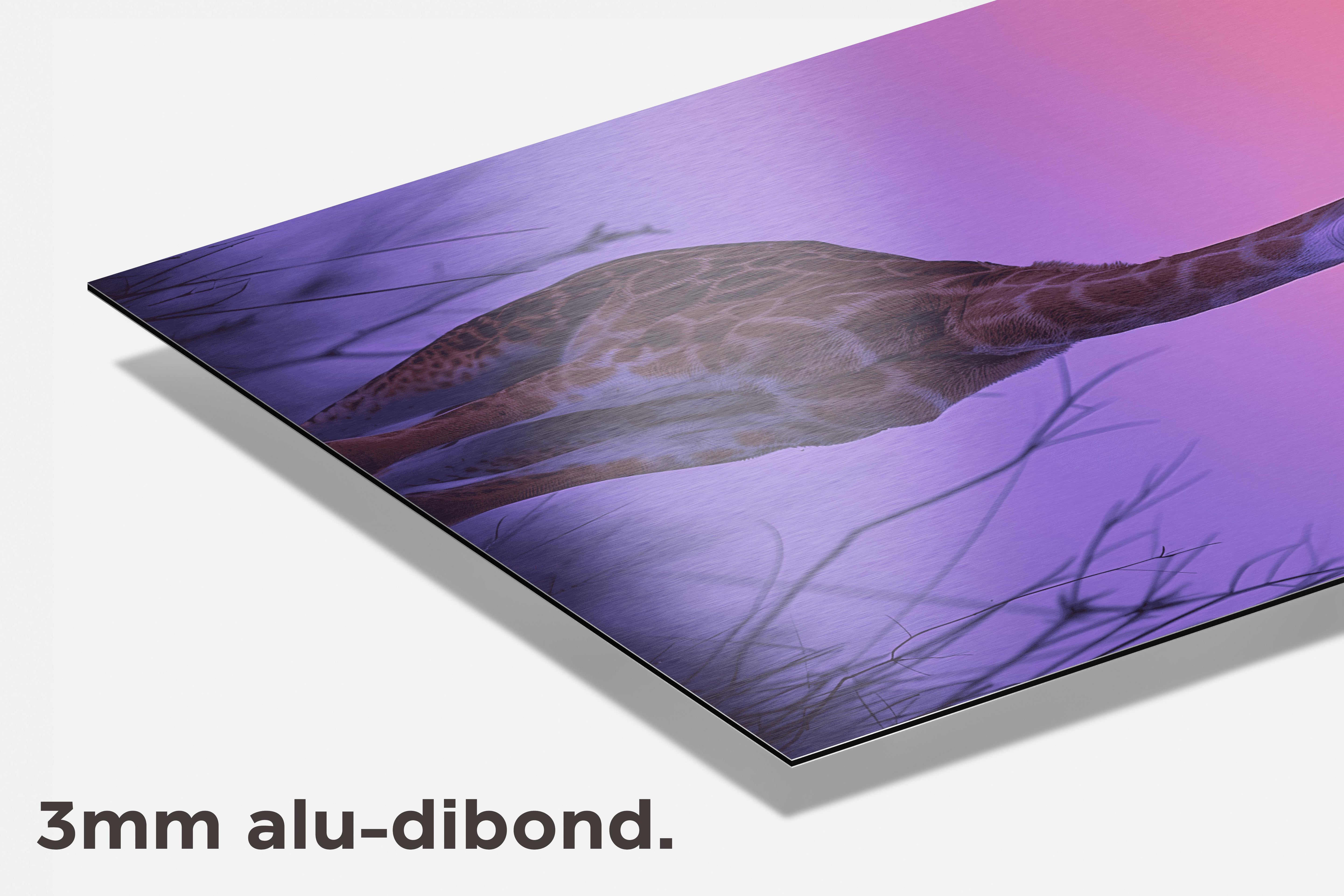 Giraffe dibond detail
