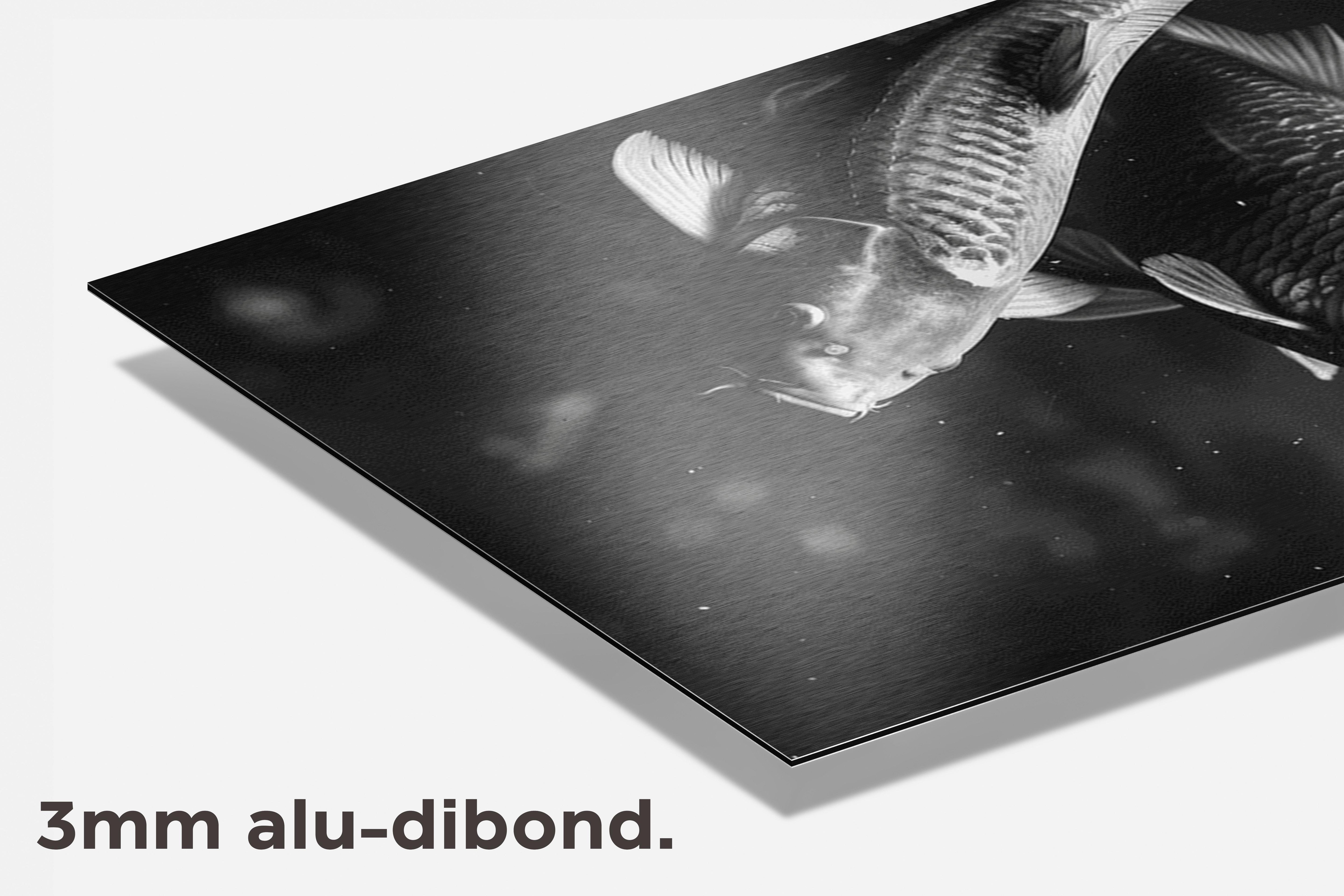 Koi Vis dibond detail