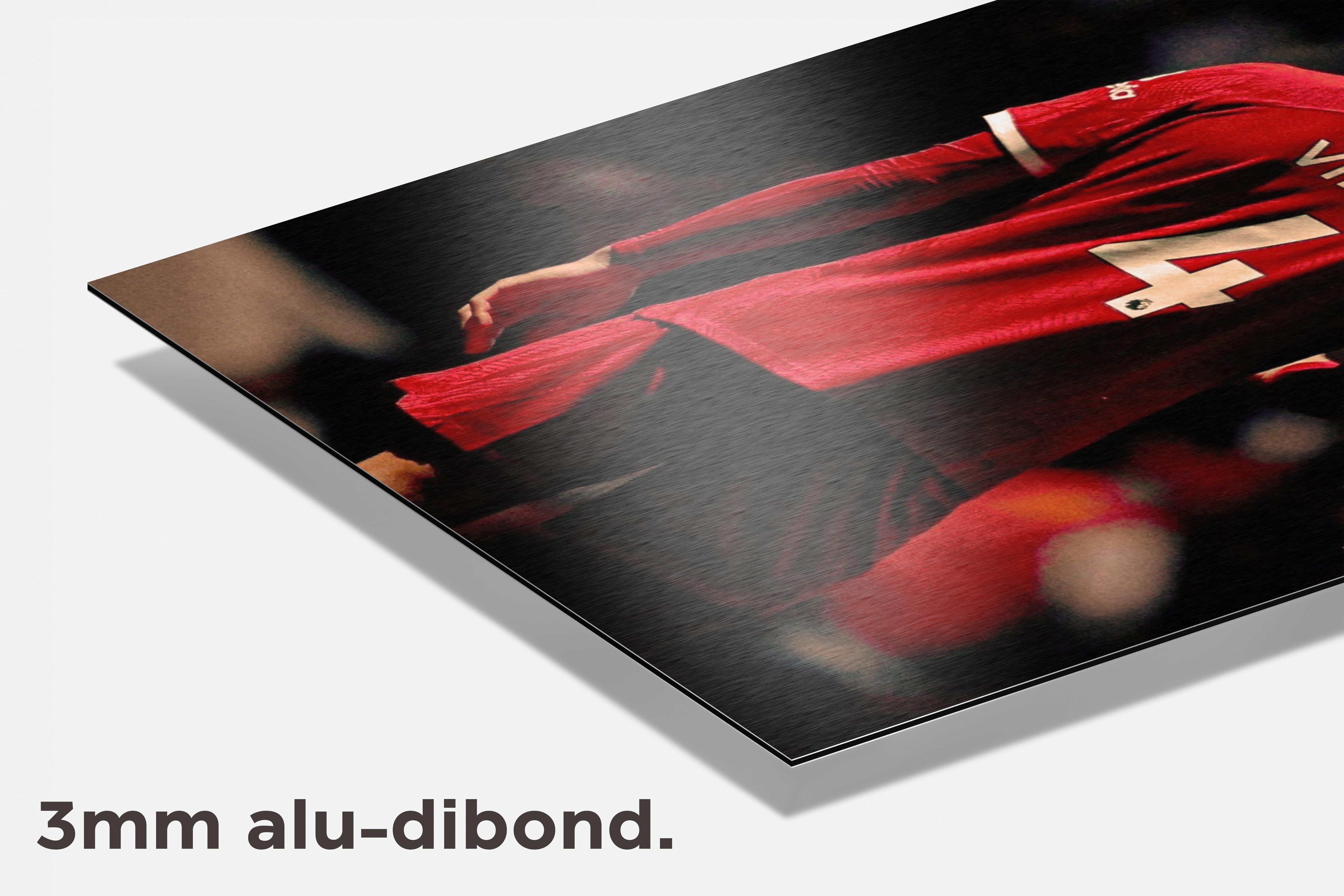 Virgil van Dijk dibond detail