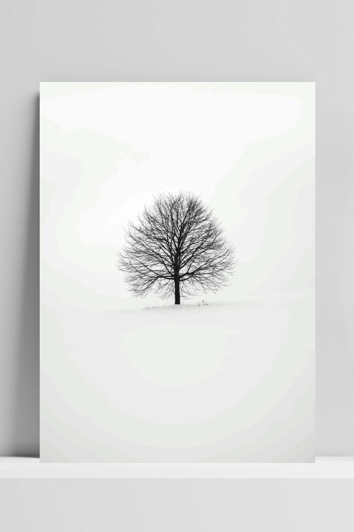 Boom Sneeuw op 3mm aluminium dibond
