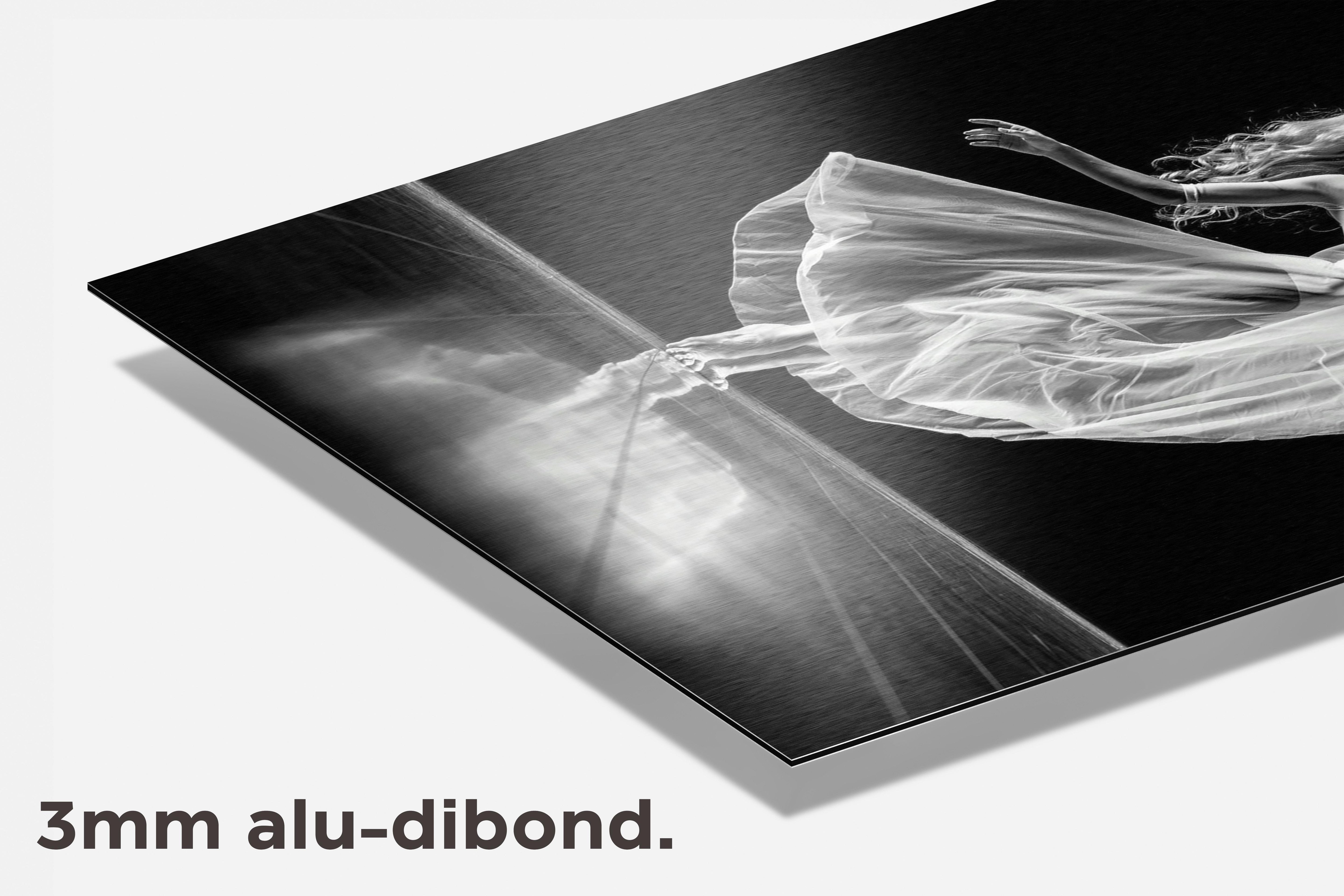 Ballerina dibond detail