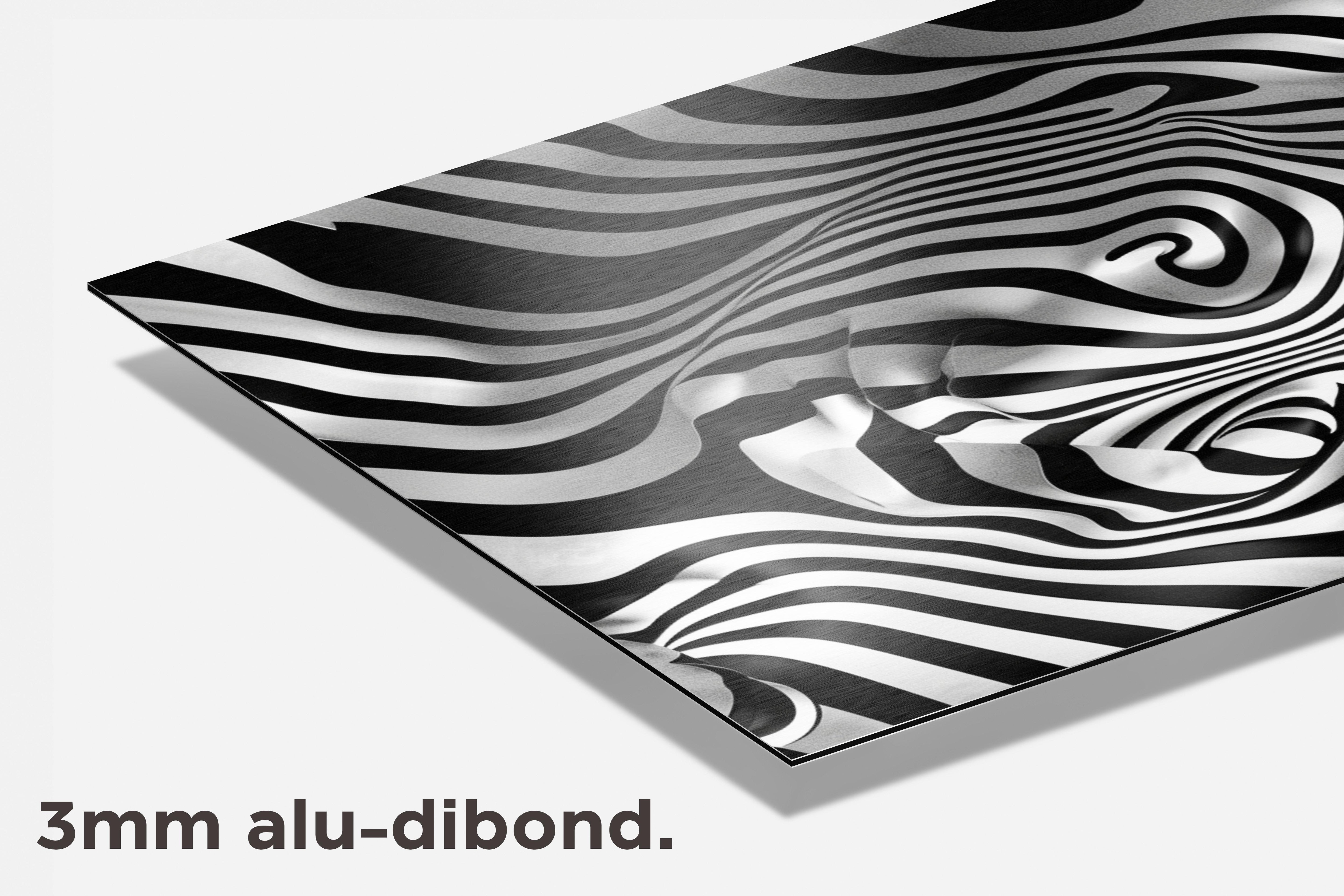 Optische Illusie dibond detail