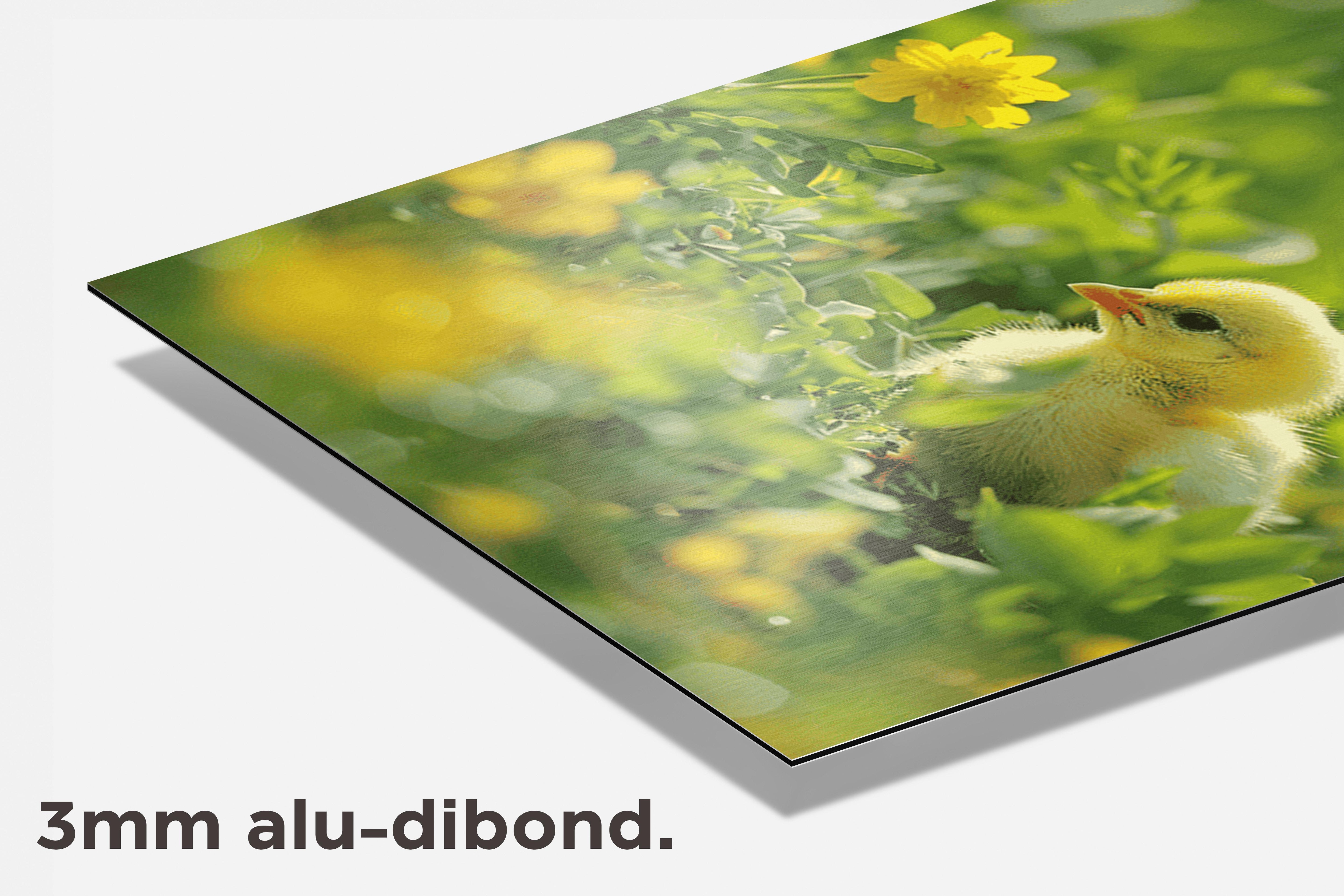 Kuiken Bloemen dibond detail