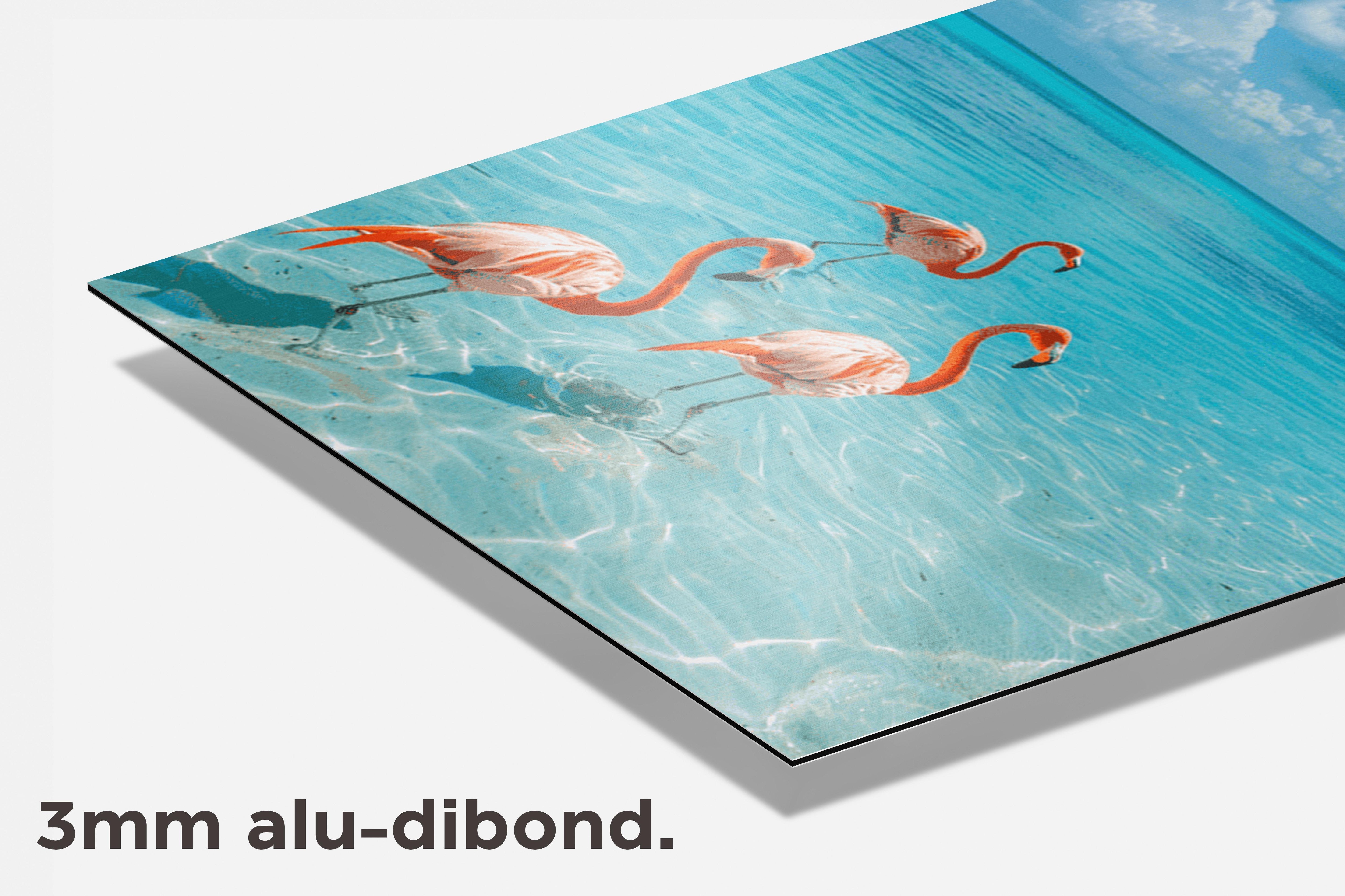 Flamingo Tropisch dibond detail