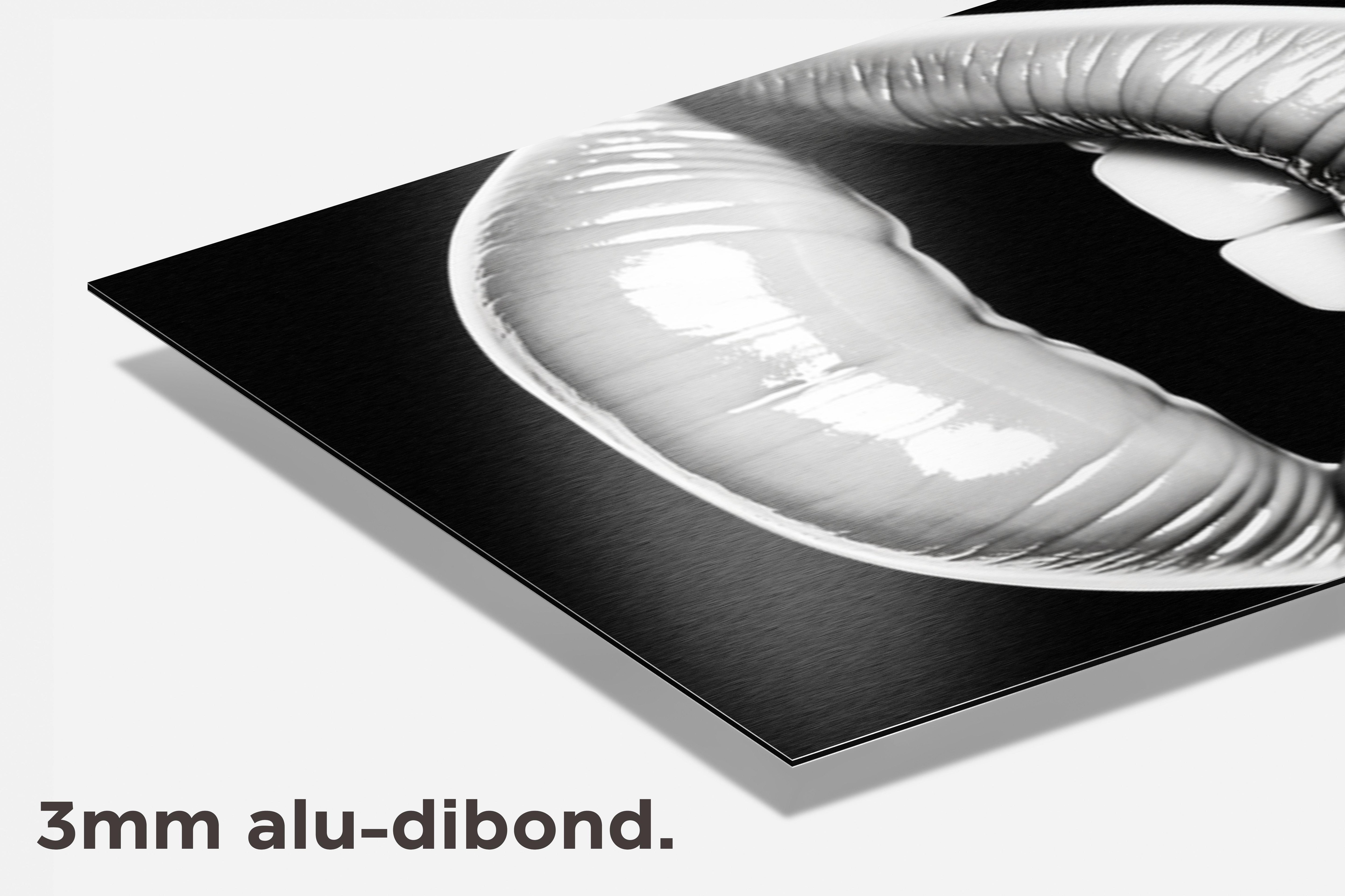 Mond Sticker dibond detail
