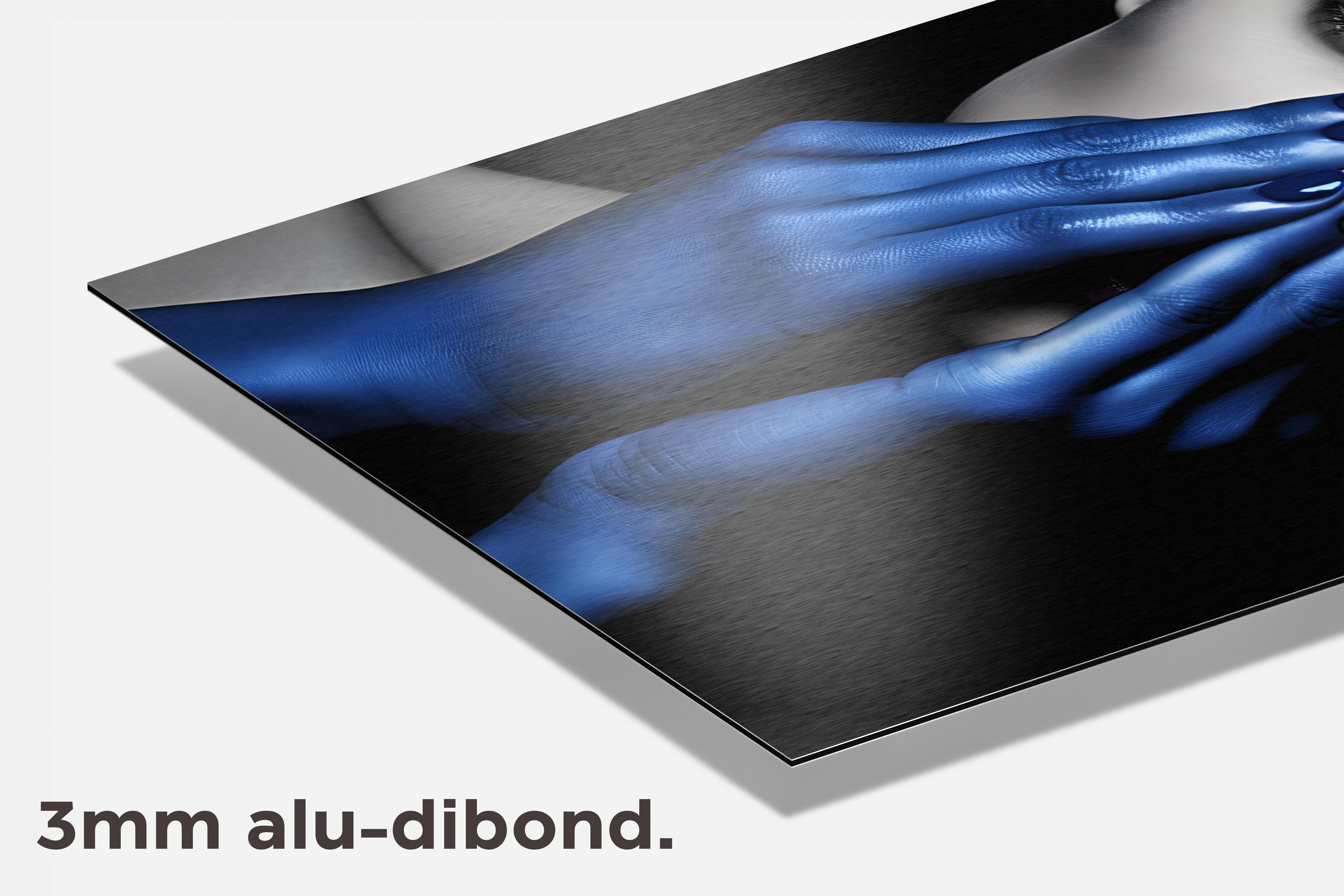 Blauwe Dame dibond detail