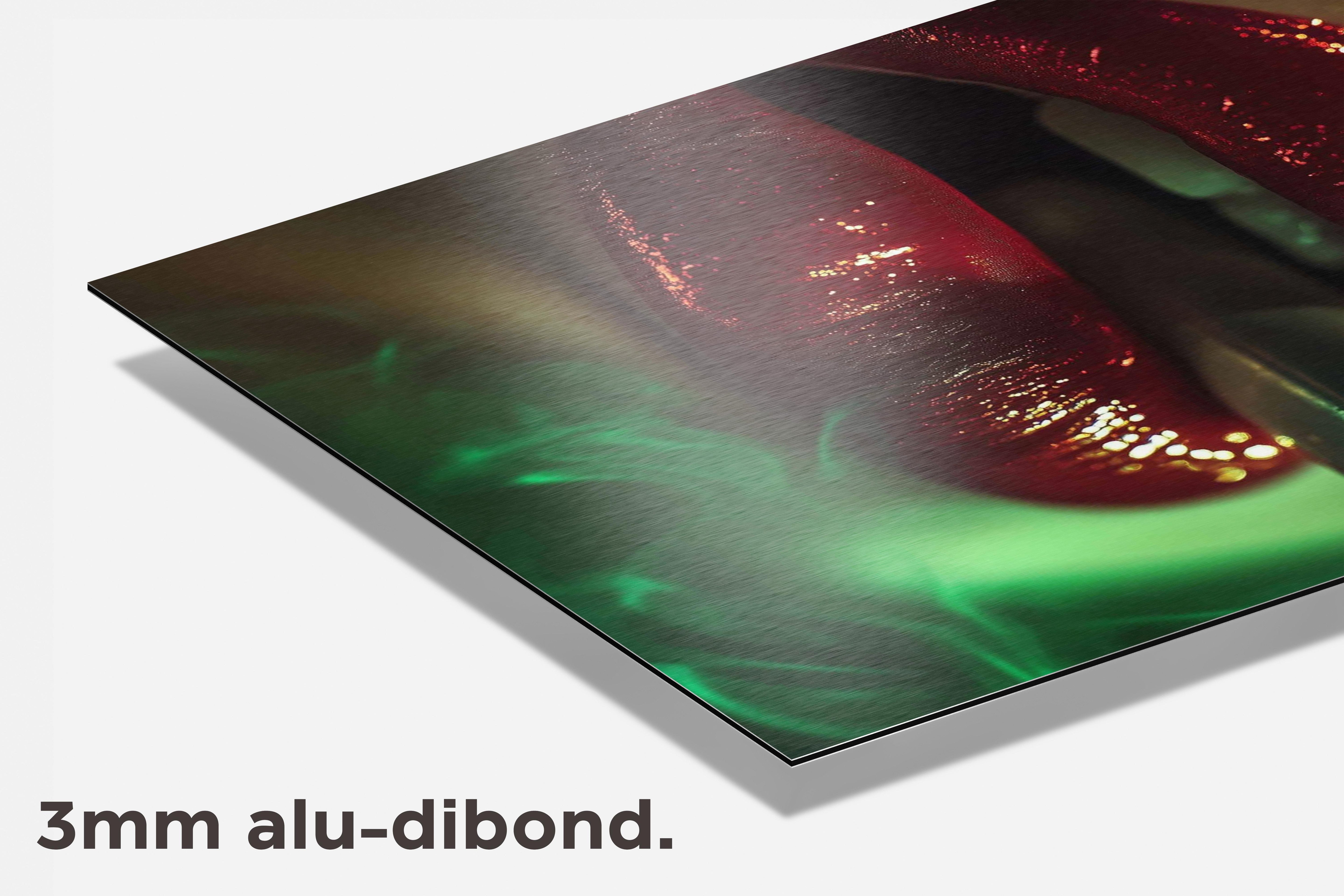 Sigaret Lippen dibond detail