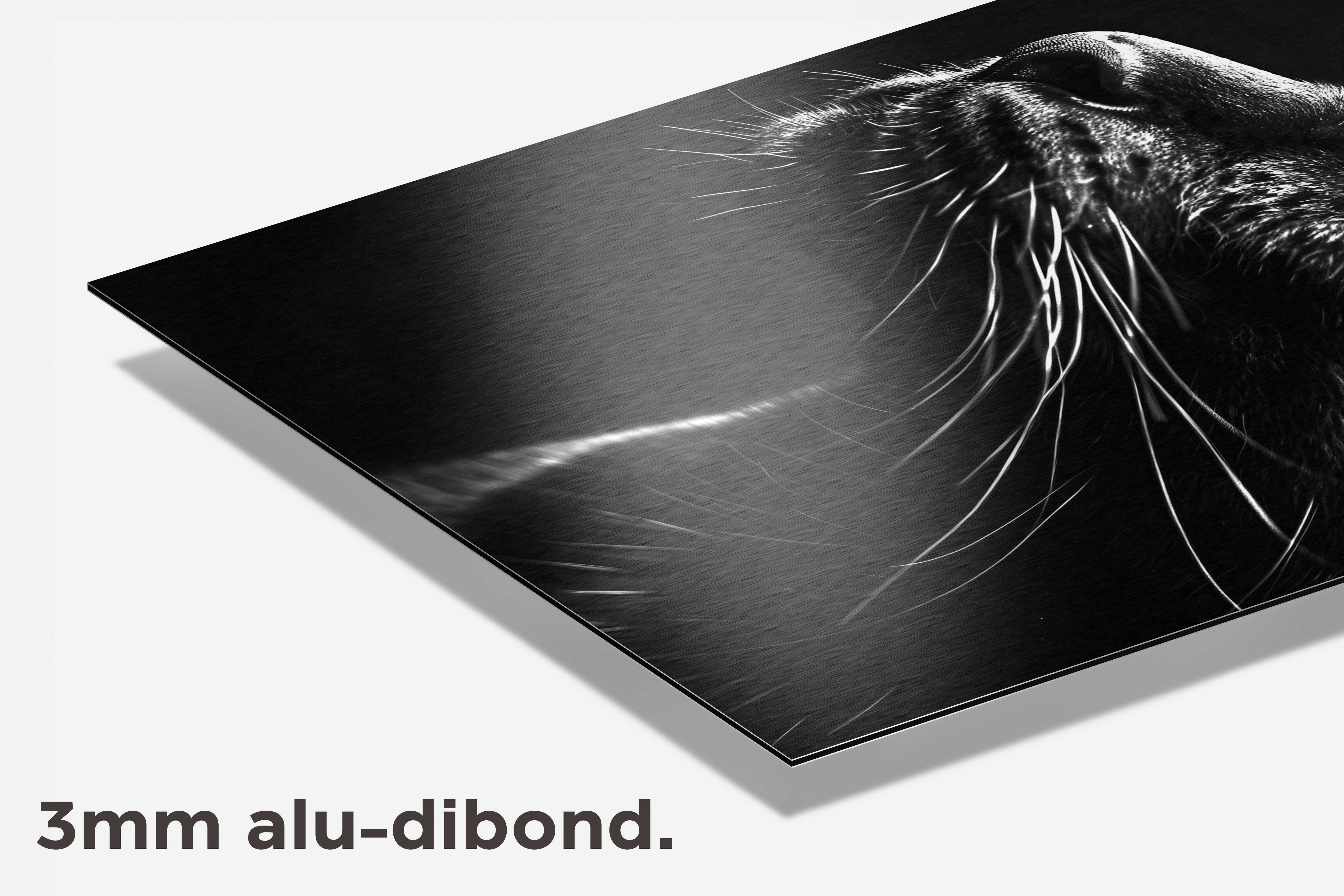 Panter Close-Up dibond detail